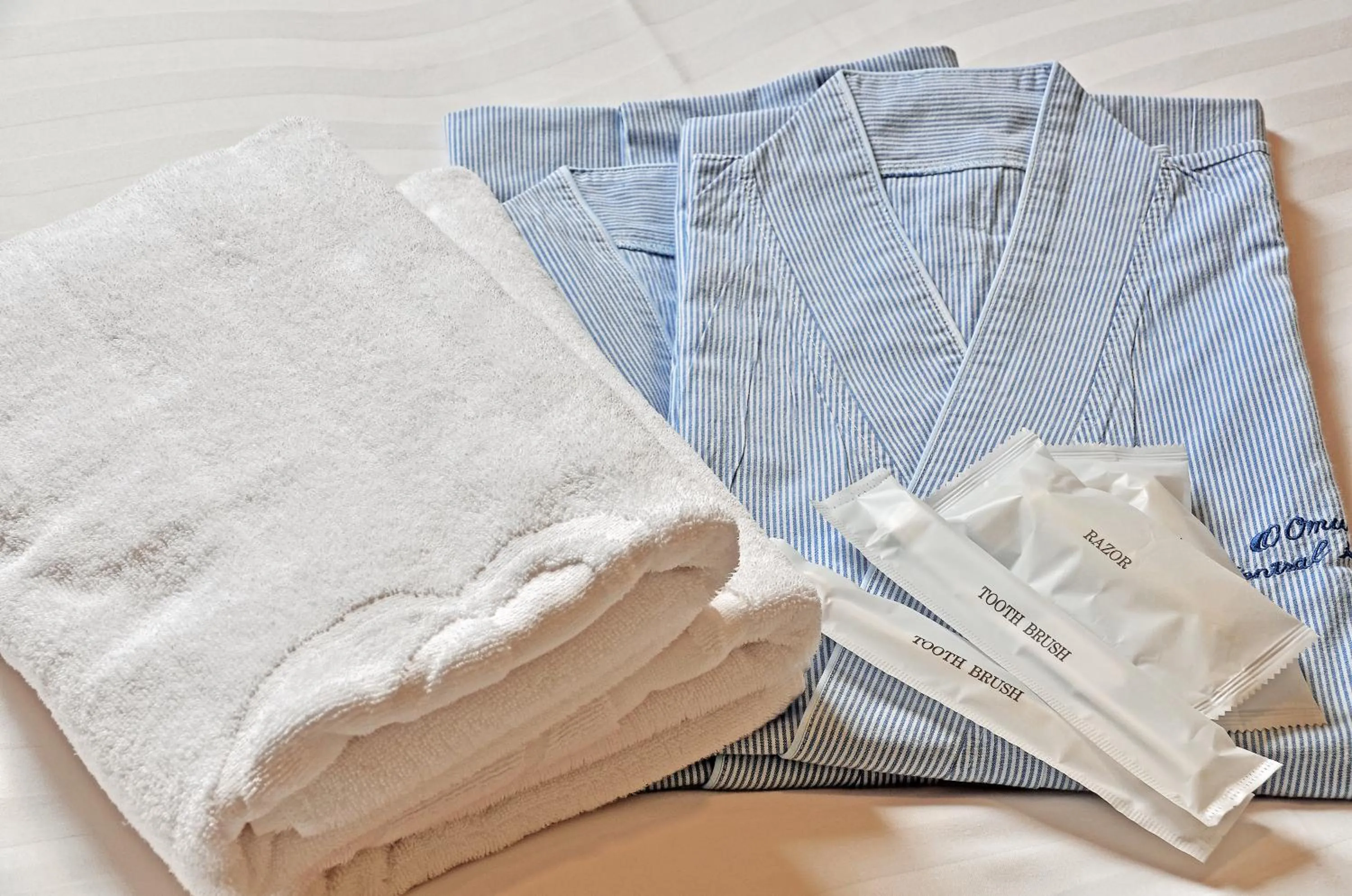 Twin Room in Omura Central Hotel