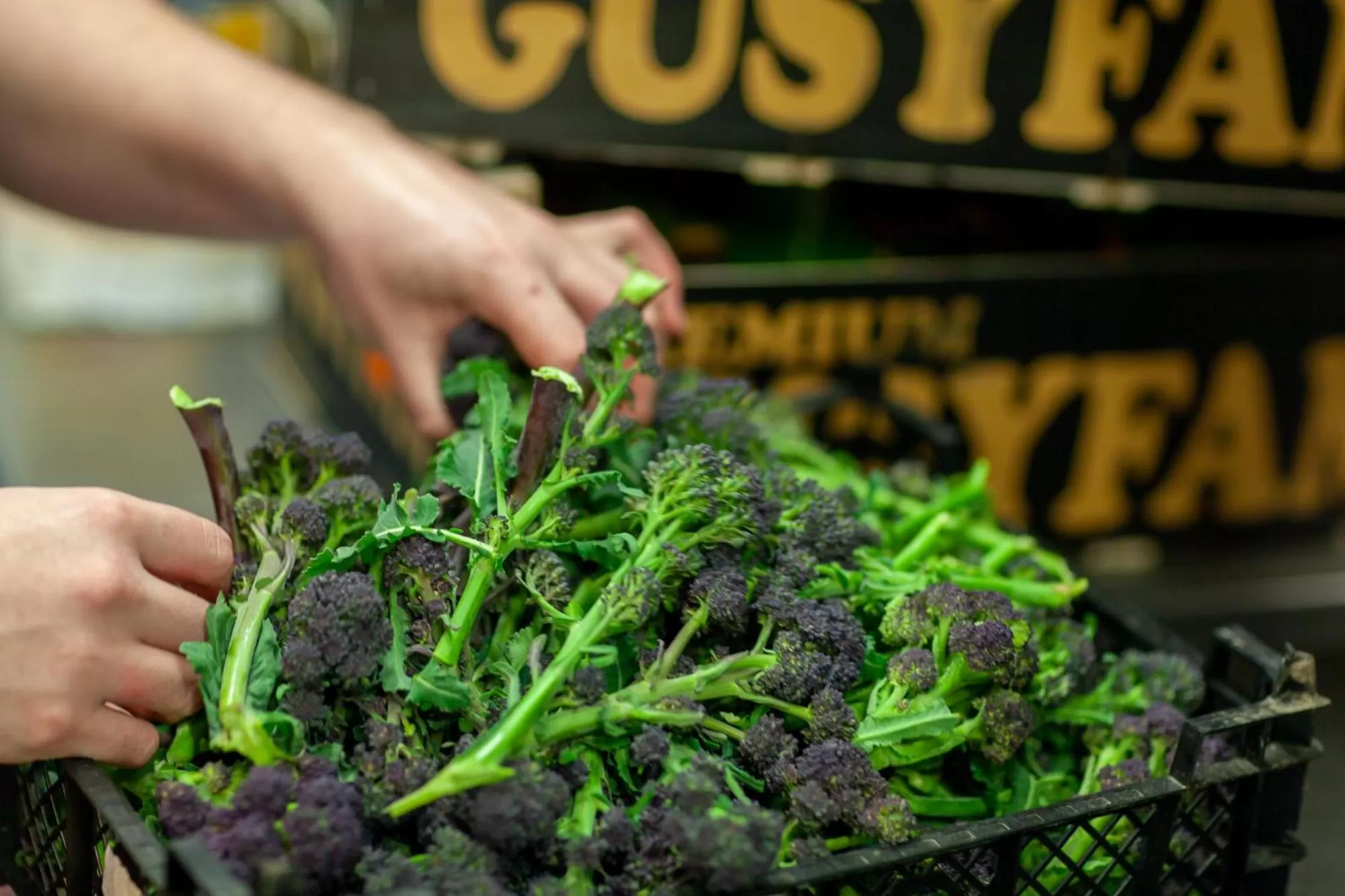 Food in The Seaview Hotel And Restaurant