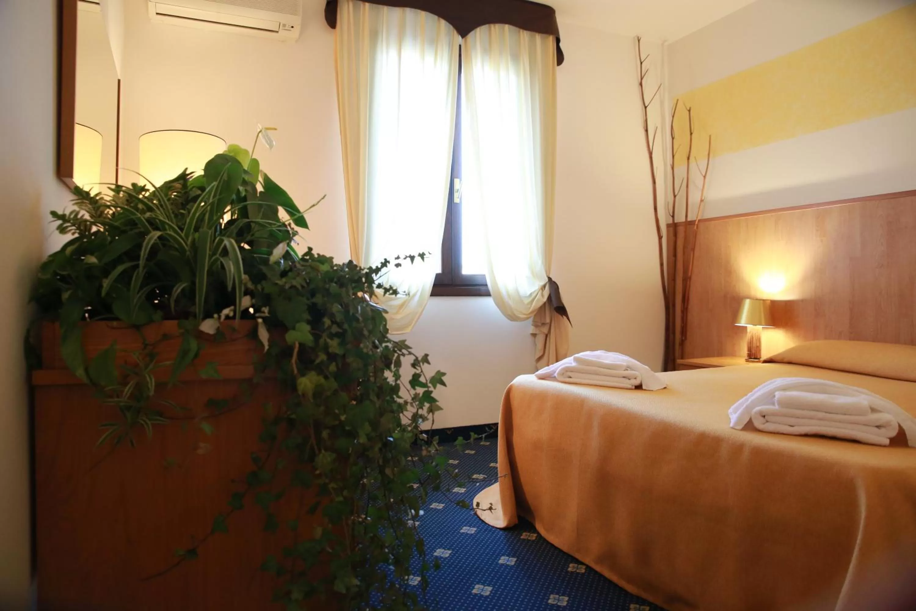 Double Room - single occupancy in Hotel Al Posta