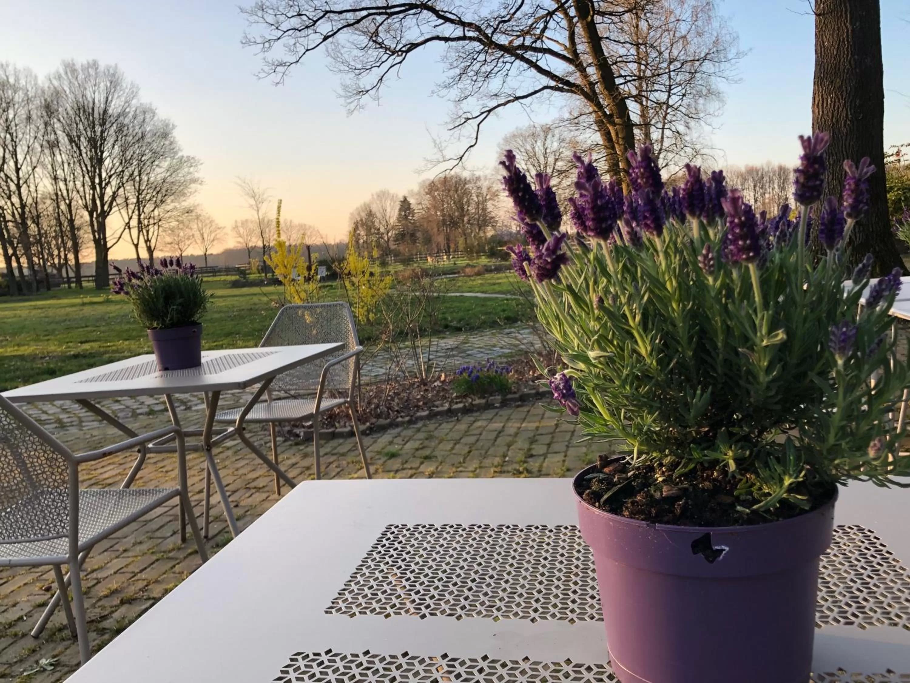 Garden in Hof van Eersel