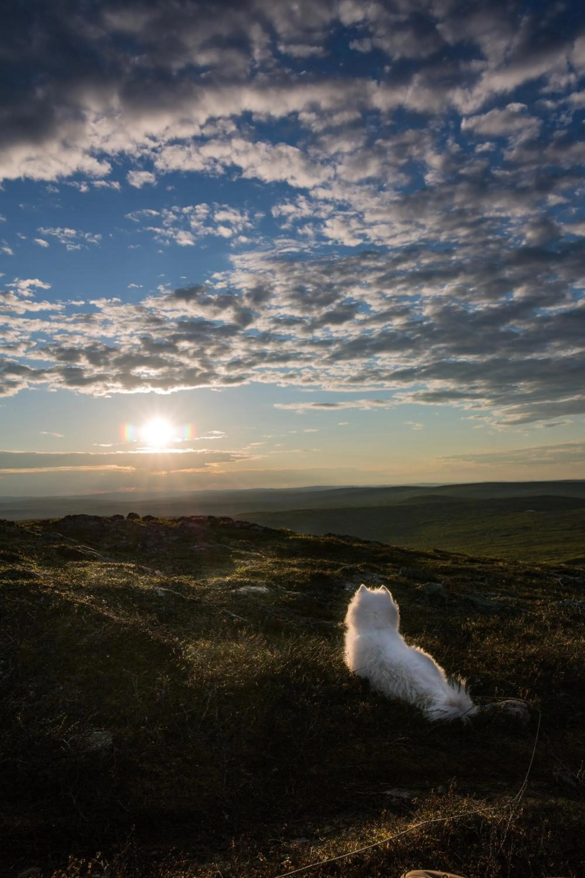 Natural landscape in Aurora Village Ivalo