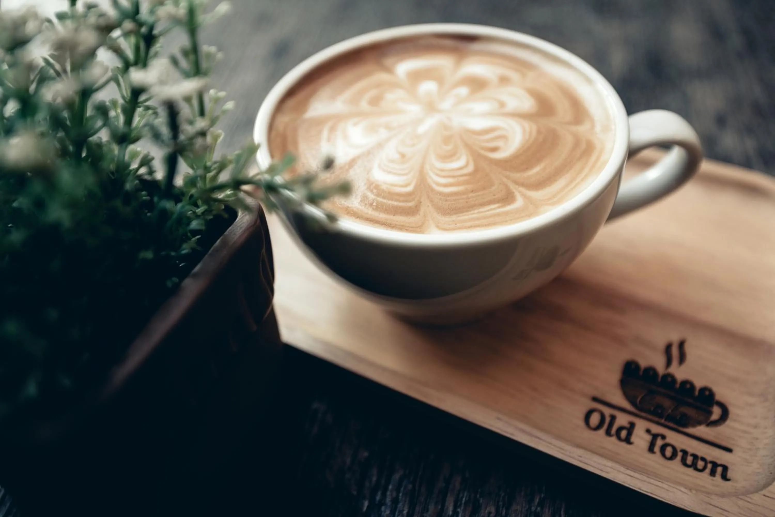 Property building in Old Town Chiangmai Boutique