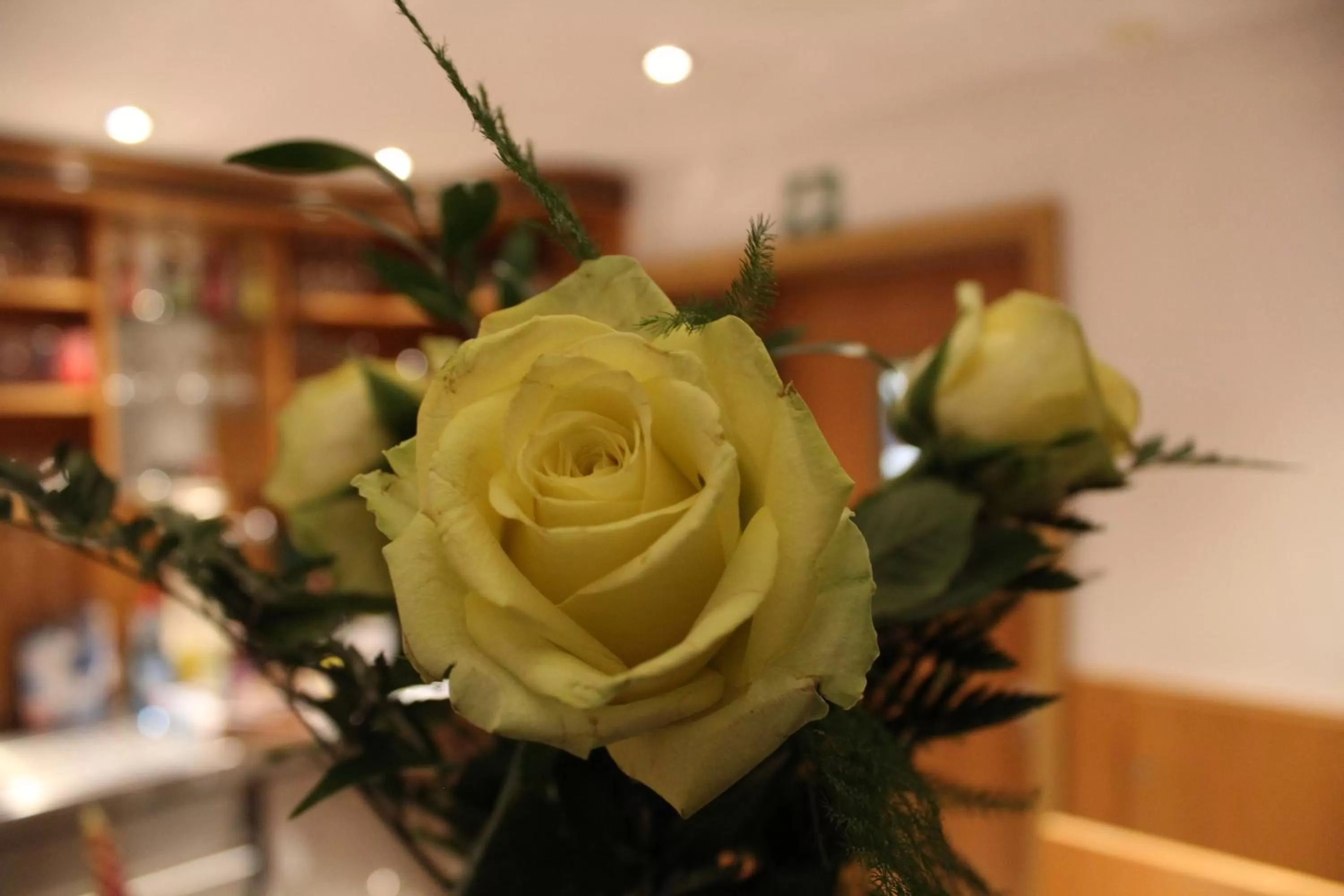 Lobby or reception in Hotel Albena - garni Hotel