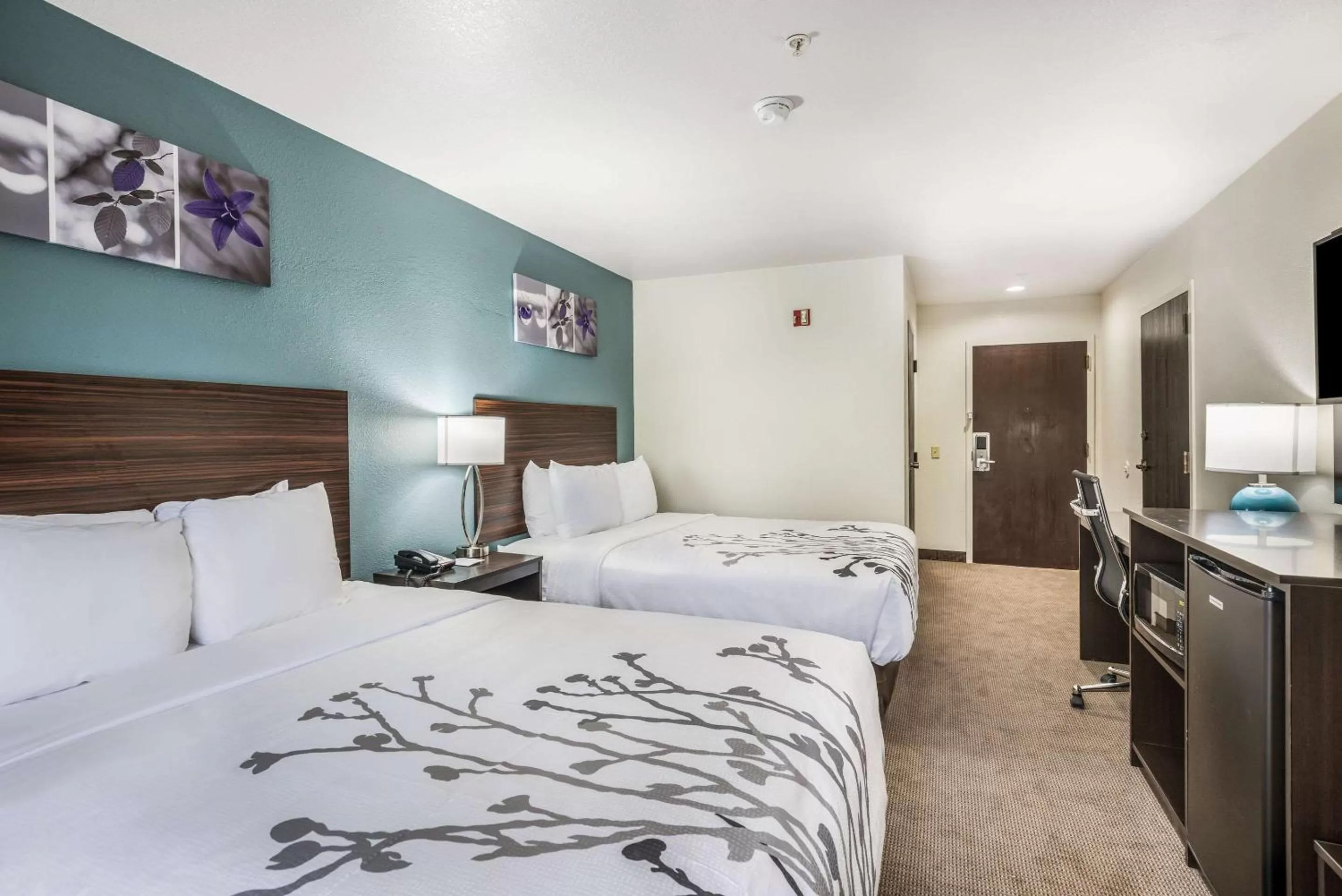 Photo of the whole room, Bed in Sleep Inn & Suites Tallahassee-Capitol