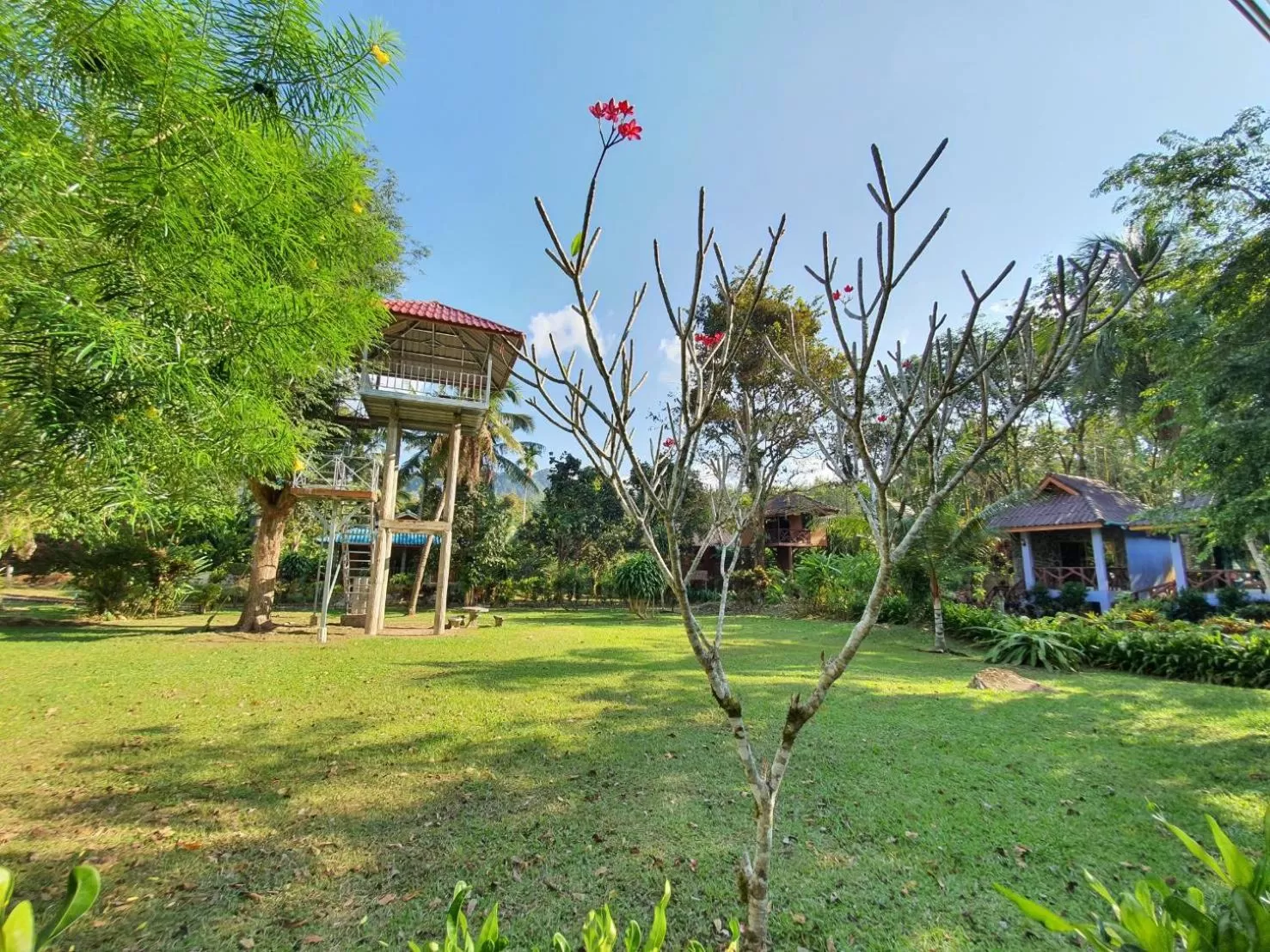 Property building in Tree Tops River Huts