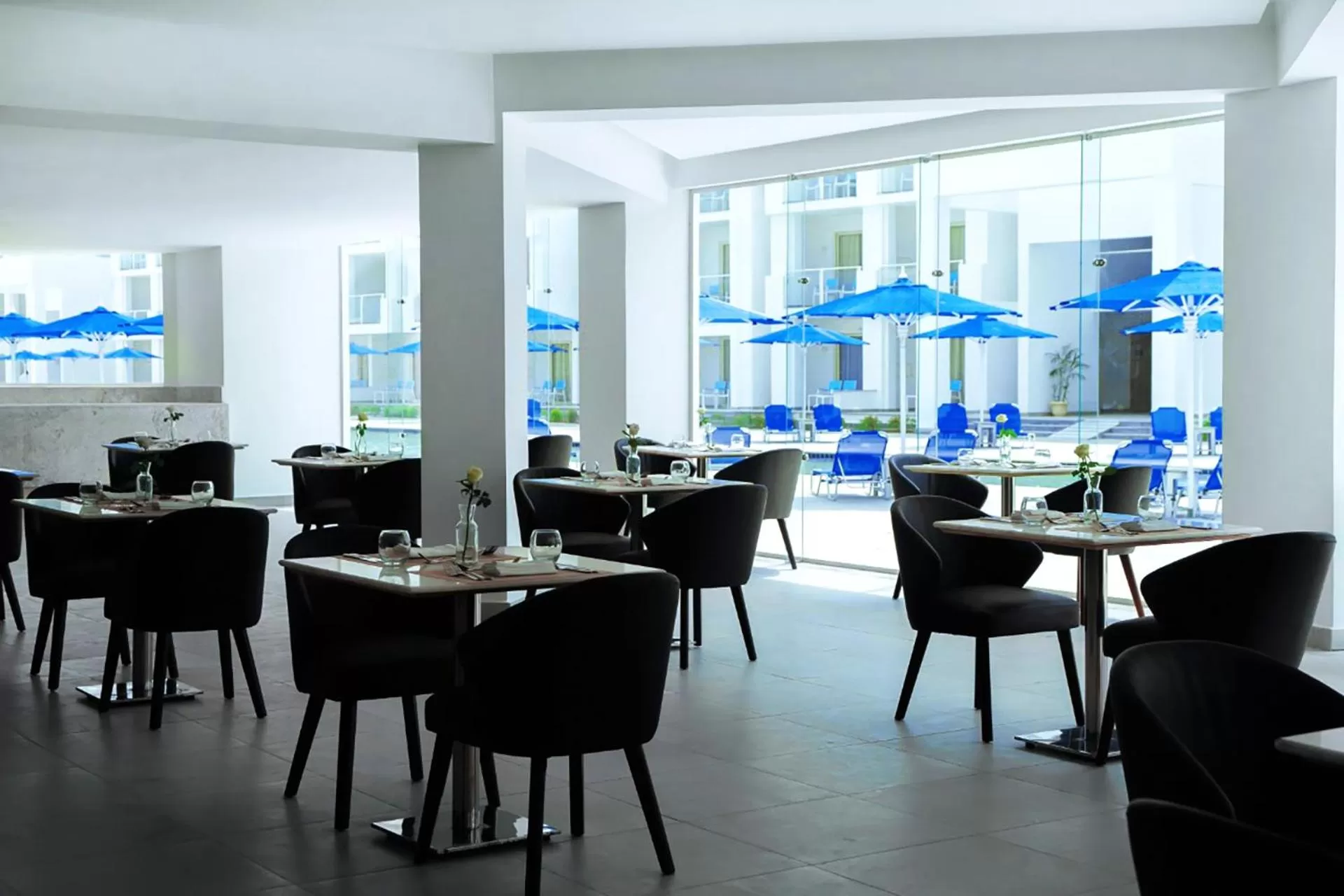 Lounge or bar in Pickalbatros Blu Spa Resort - Adults Friendly 16 Years Plus- Ultra All-Inclusive