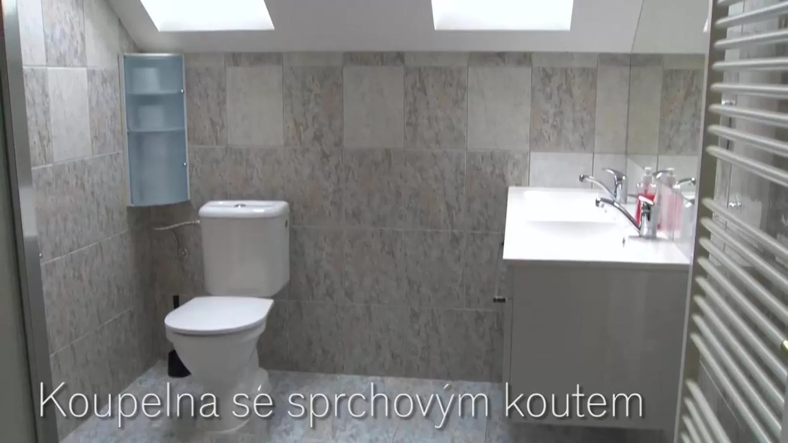 Toilet in X-Park Františkov