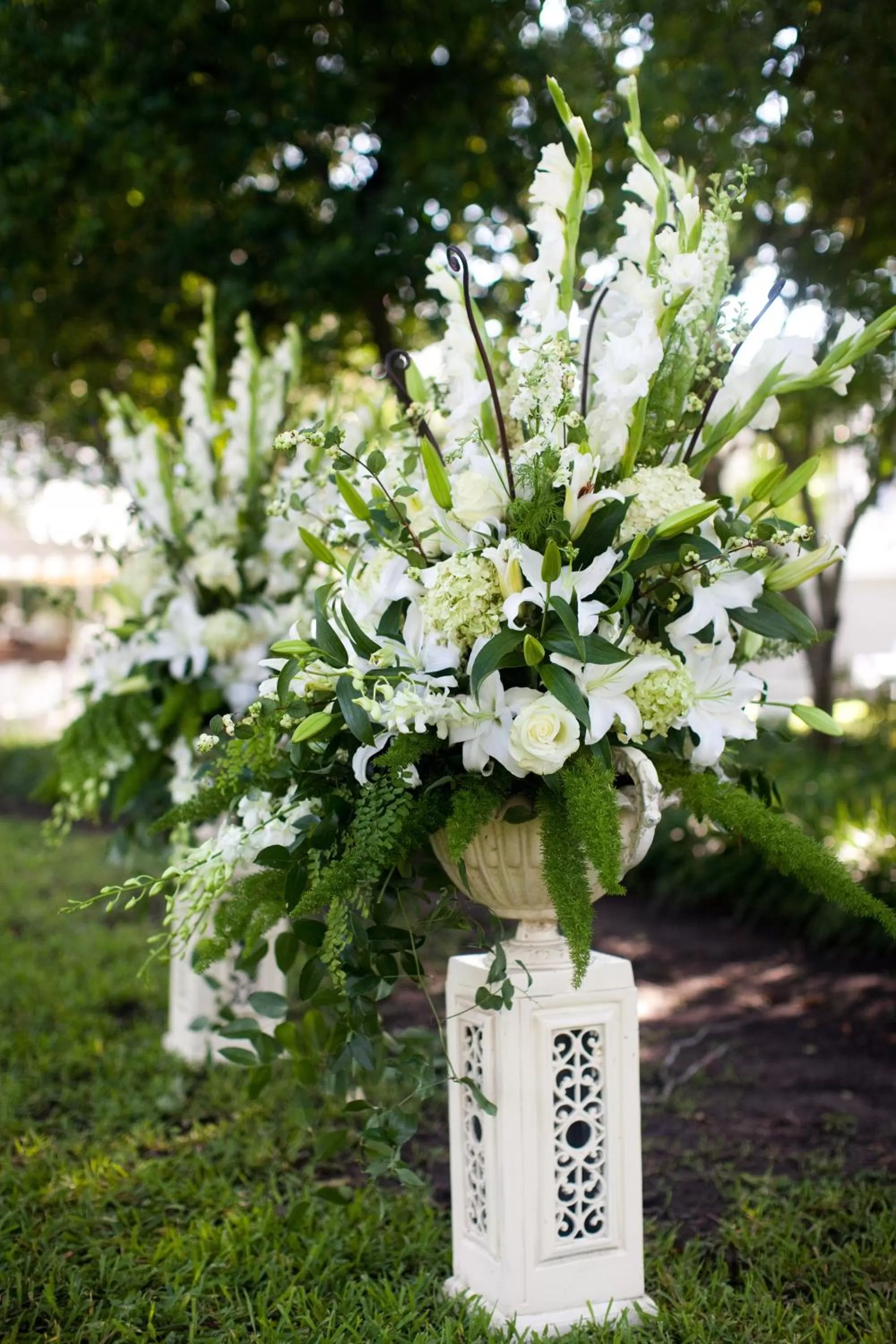 Area and facilities in Rainbow Courts