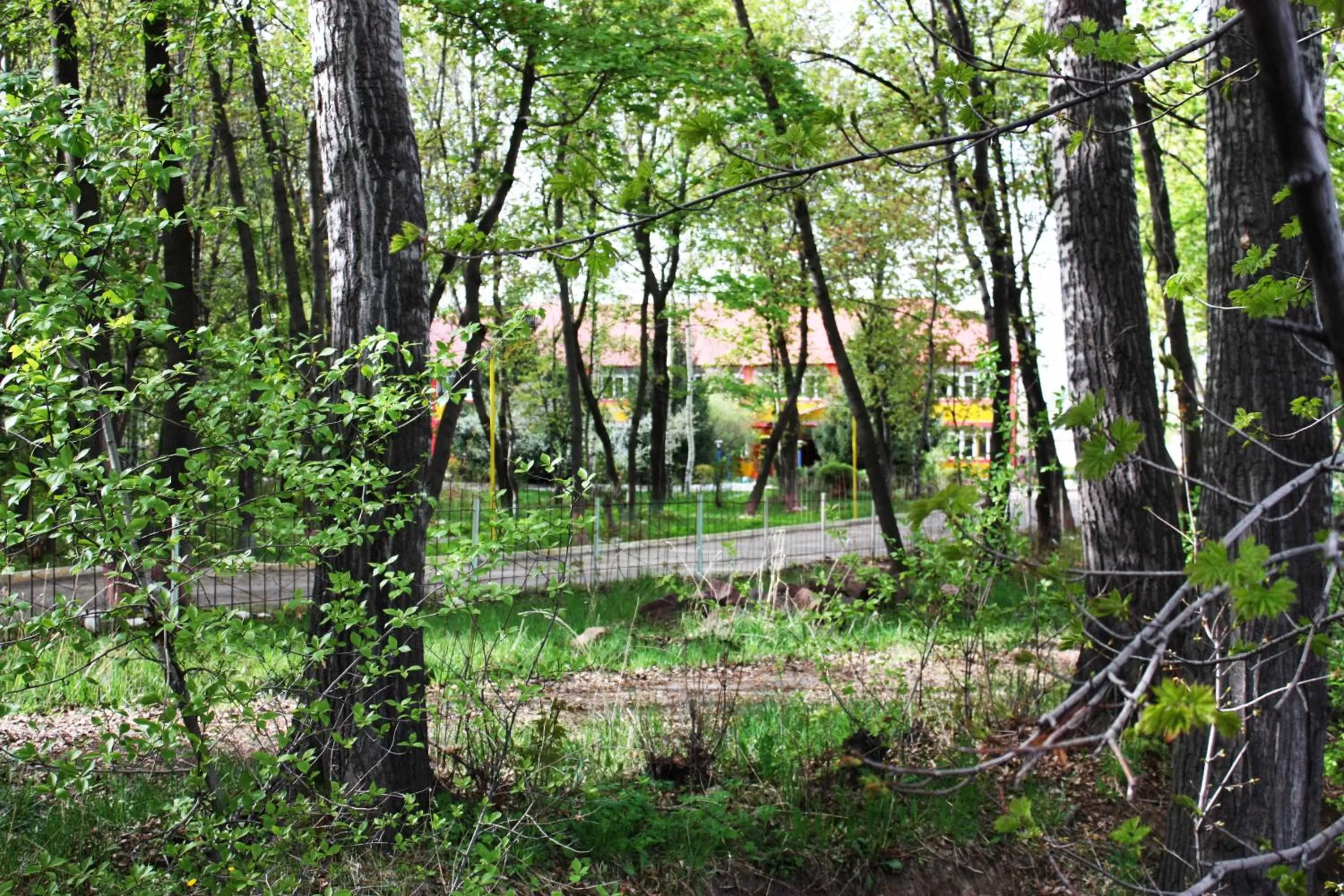 Garden in Otel Issyk-Kul Karakol