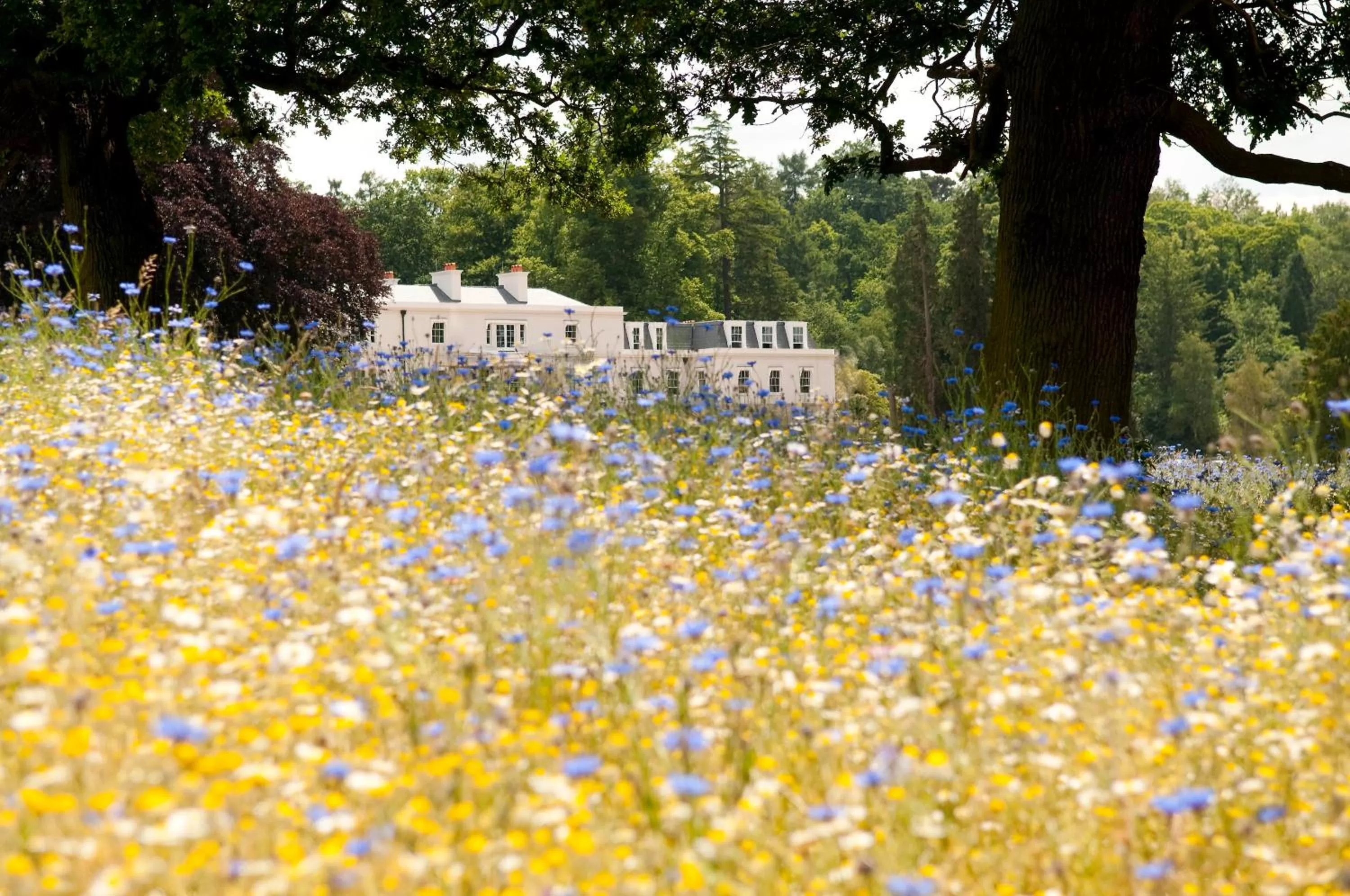 Facade/entrance in Coworth Park - Dorchester Collection