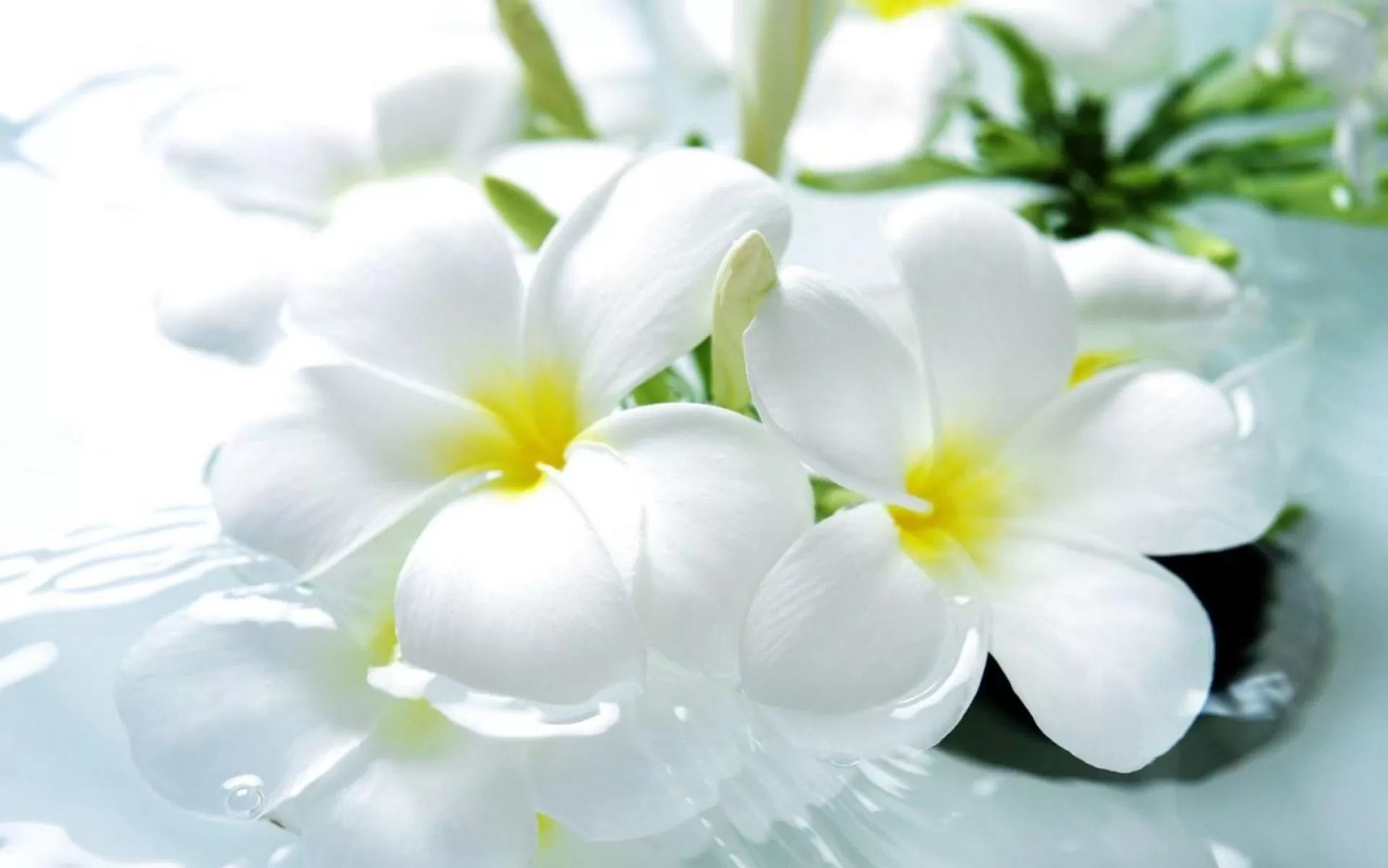 Nearby landmark in Ocean Terrace Suite And Spa Luxury