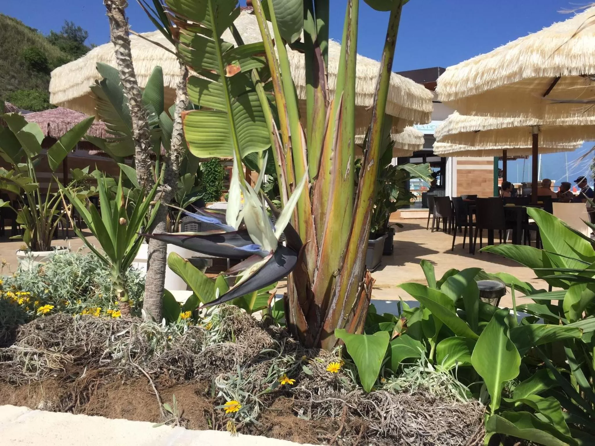 Beach in suebi rooms