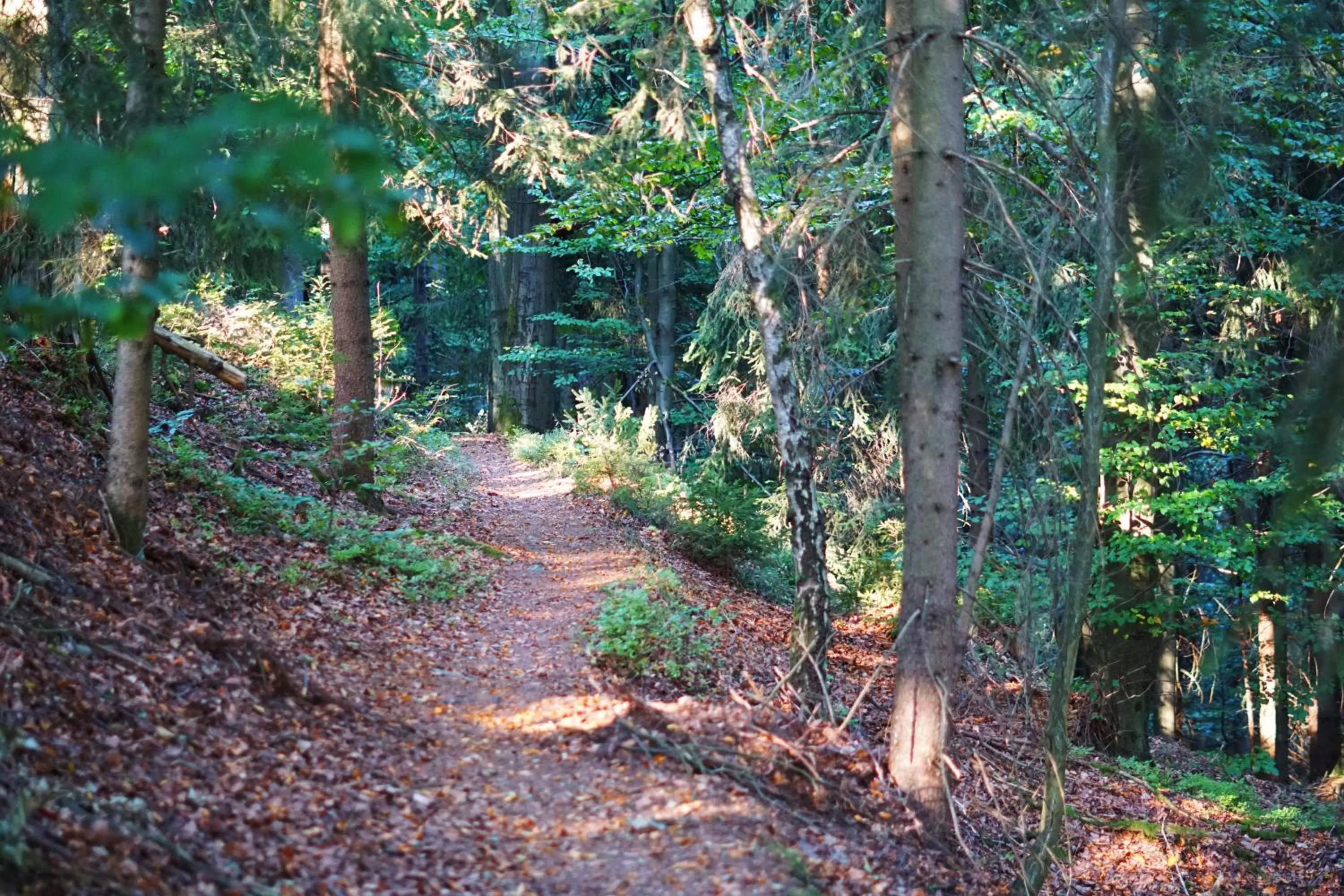 Hiking in Hotel Beck