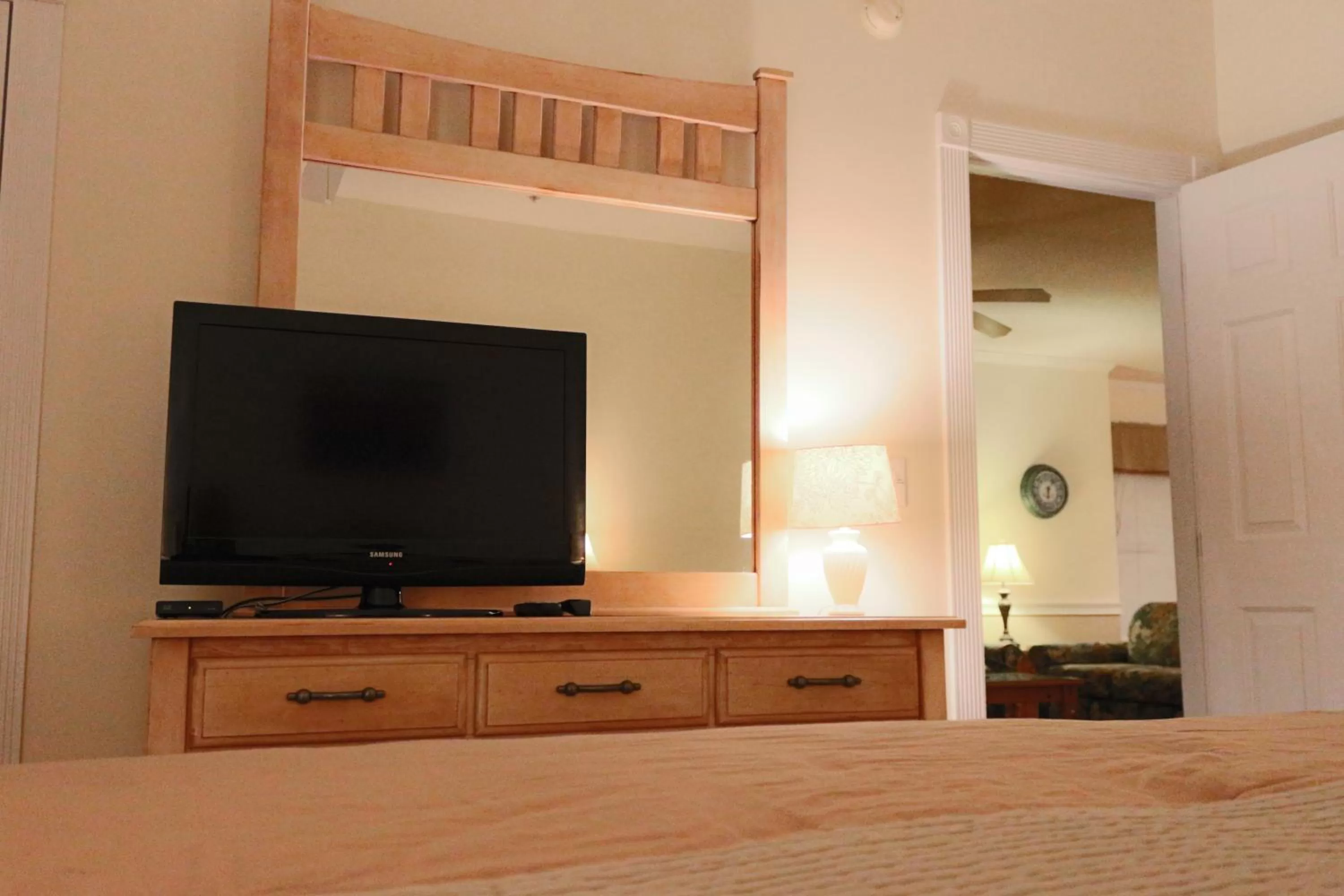 TV and multimedia in Myrtlewood Condos