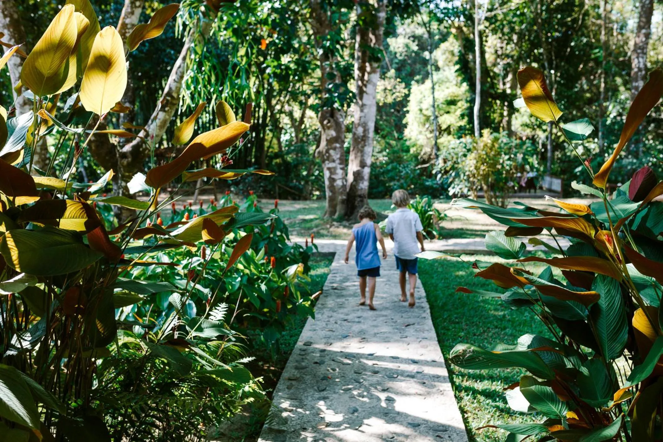 View (from property/room) in Our Jungle Camp - Eco Resort