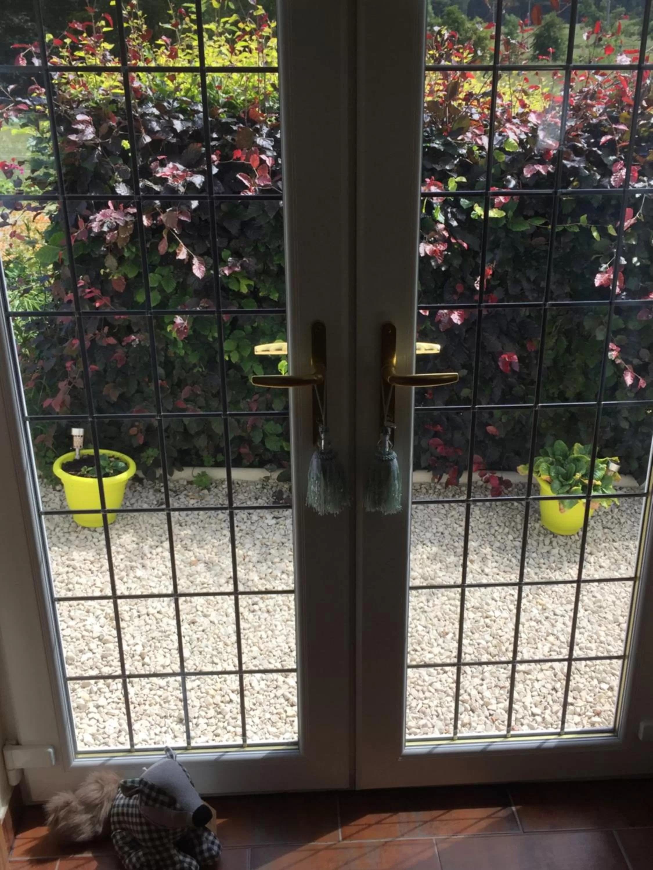 Garden view in Retreat at The Knowe Auchincruive Estate