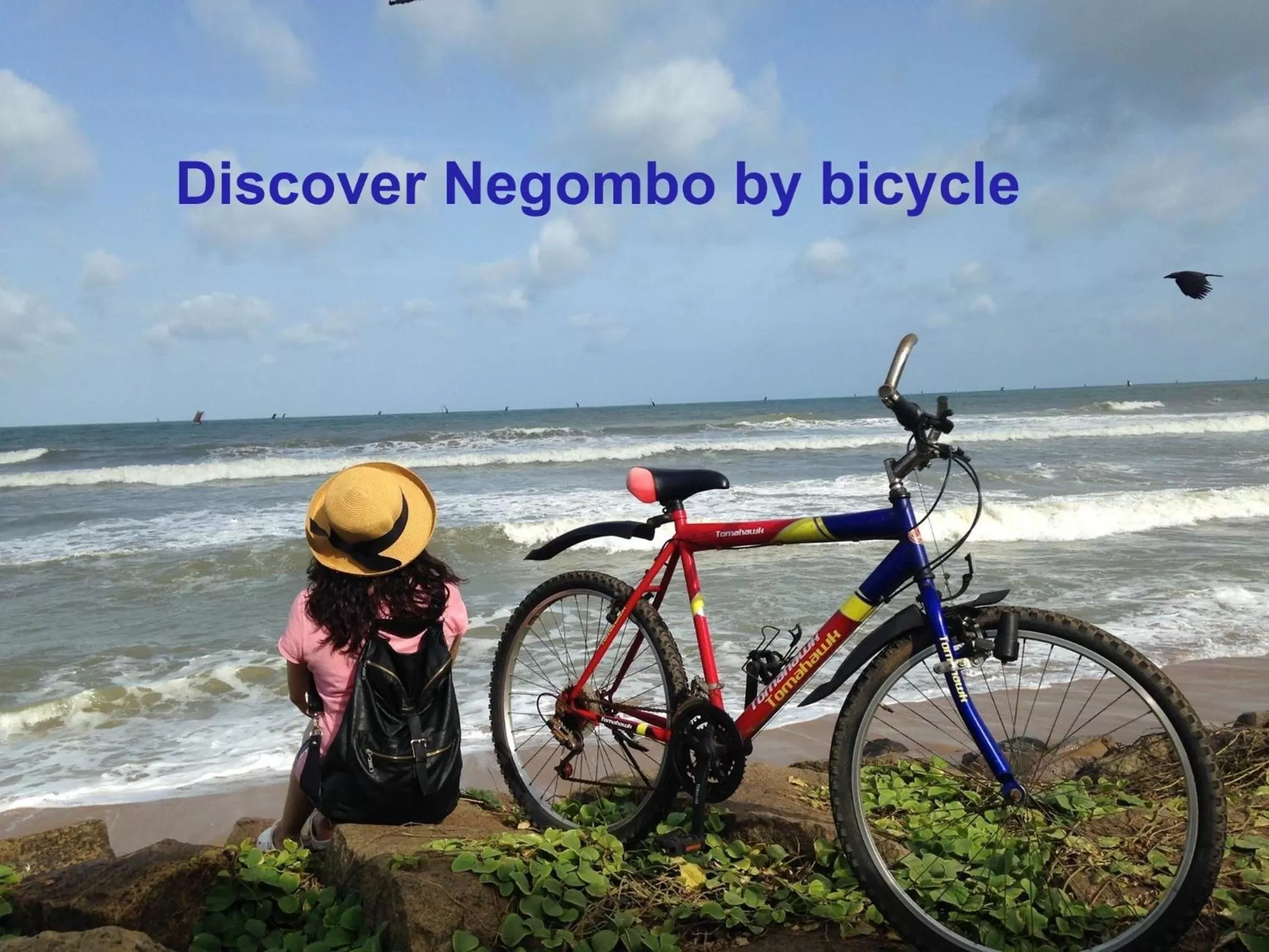 Guests, Other Activities in Villa Taprobane