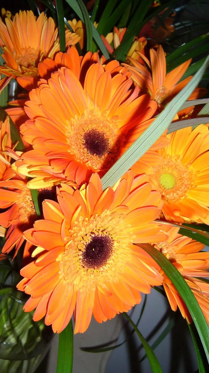 Day in Hotel Bogotá Gran Marquez