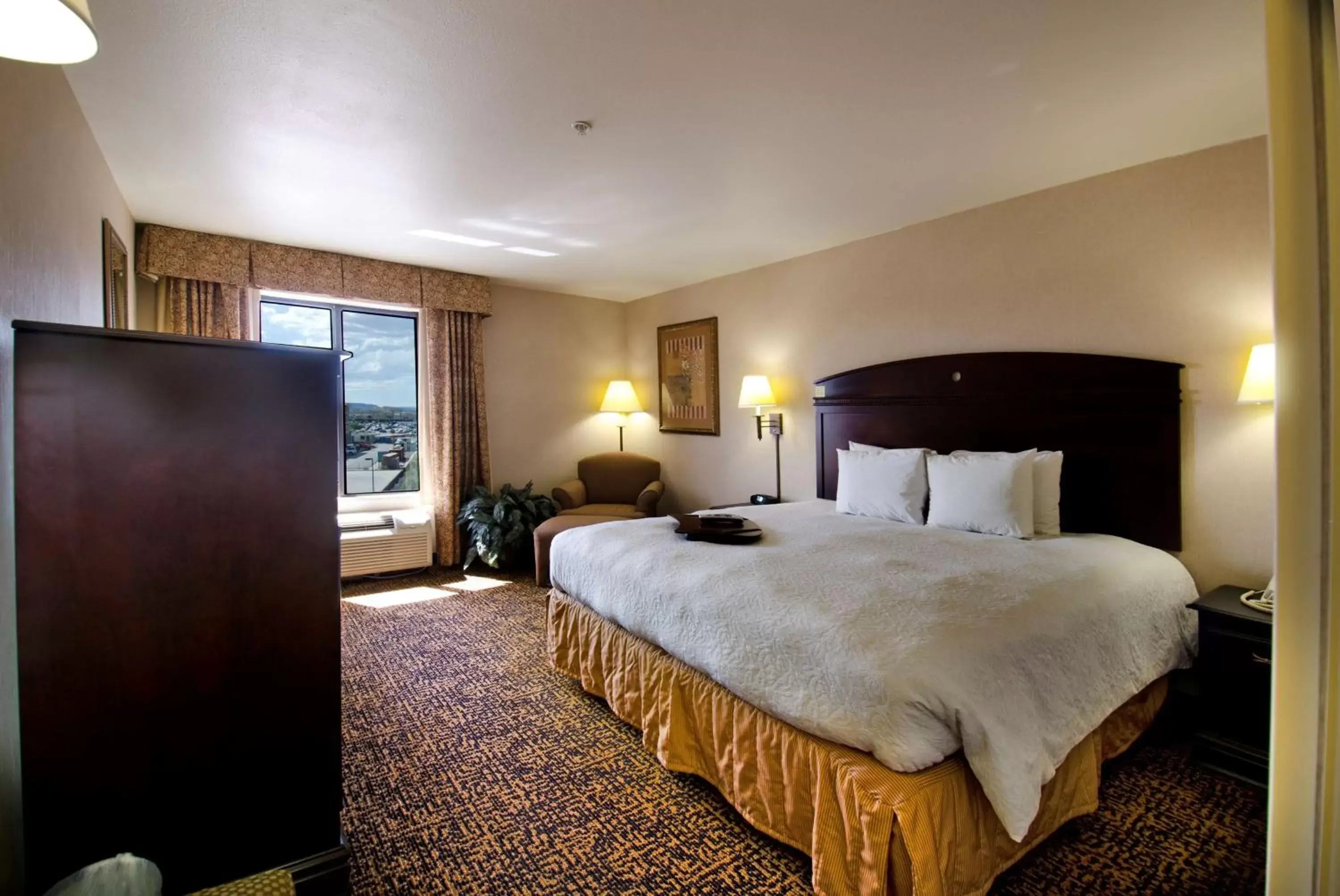 King Room with King Bed - Non-Smoking in Hampton Inn & Suites Gallup King Room with King Bed - Non-Smoking in Hampton Inn & Suites Gallup