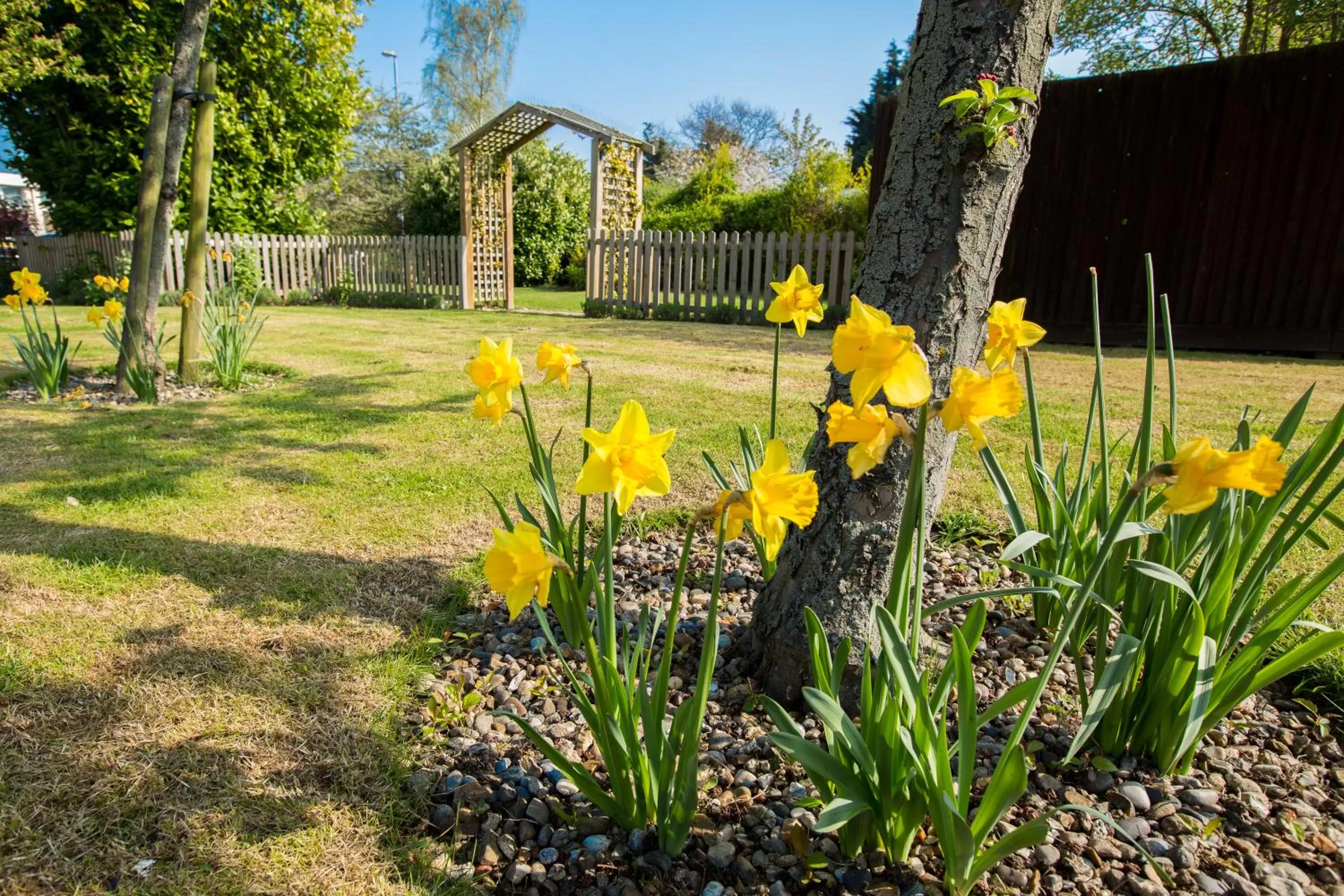 Spring, Garden in Marks Tey Hotel Colchester
