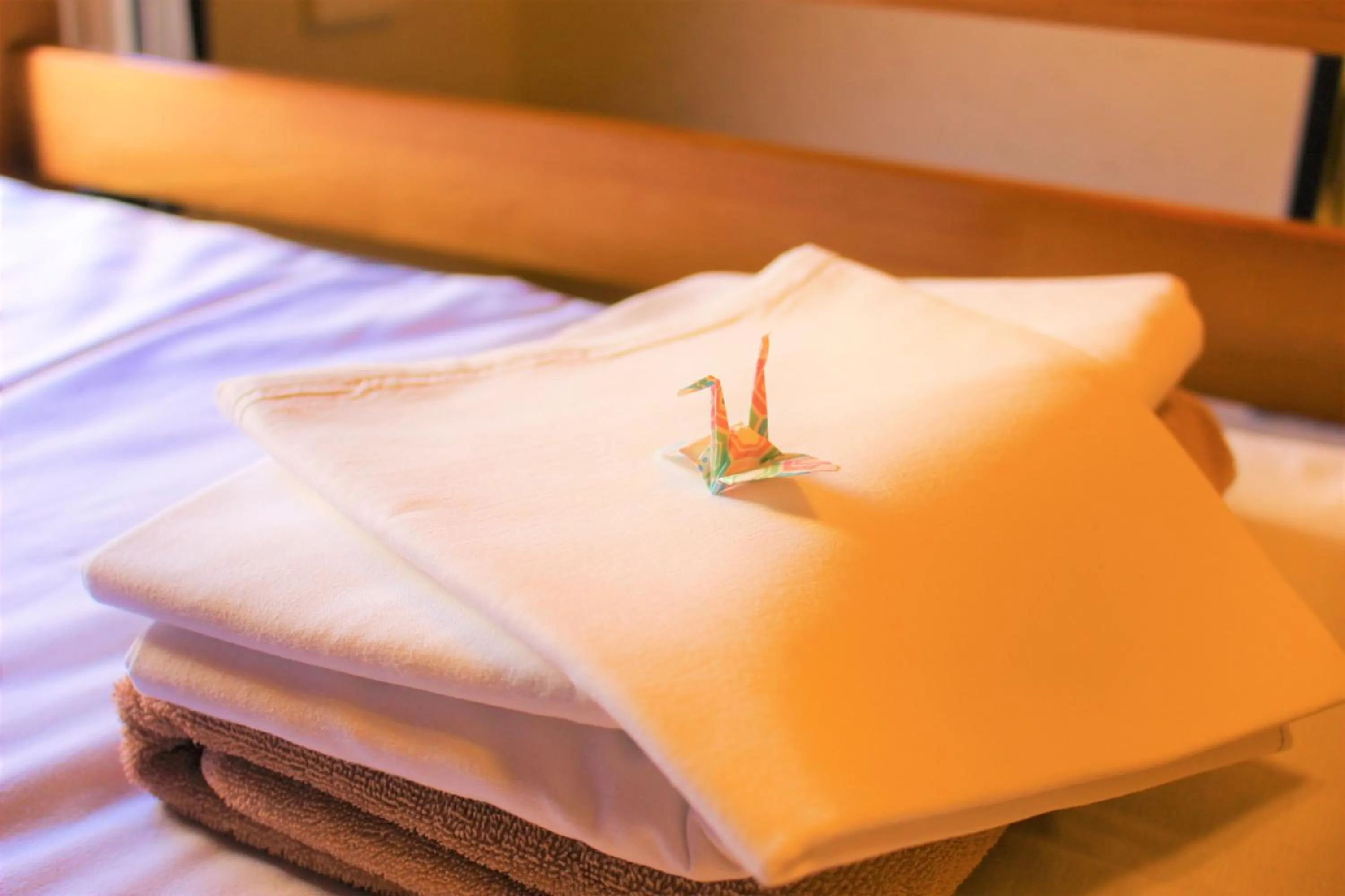 Photo of the whole room, Bed in K's House Tokyo Oasis - Quality Hostel in Asakusa