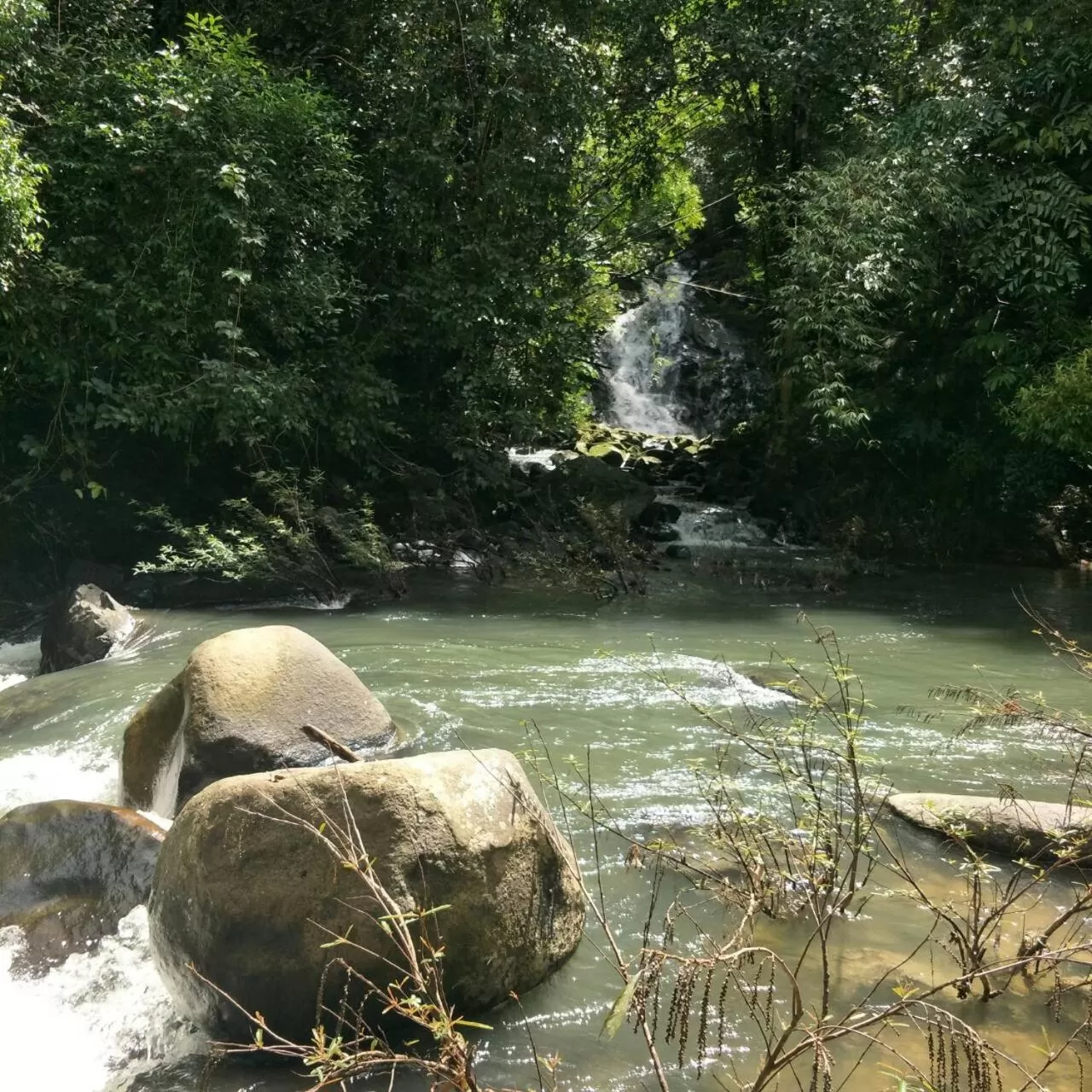 Natural landscape in Khao Sok River & Jungle Resort