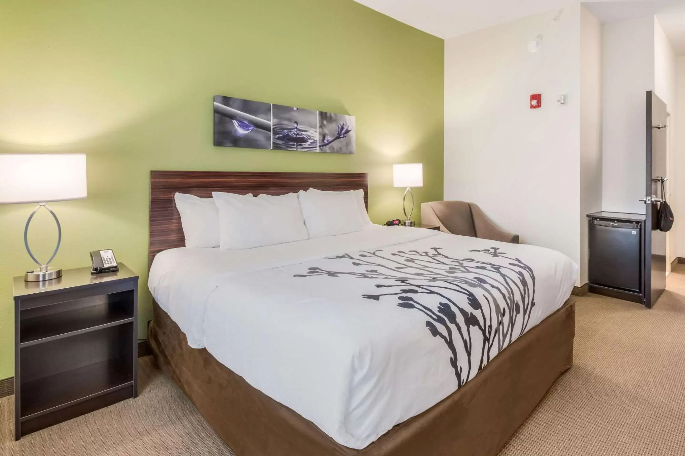 King Room - Accessible/Non-Smoking in Sleep Inn King Room - Accessible/Non-Smoking in Sleep Inn