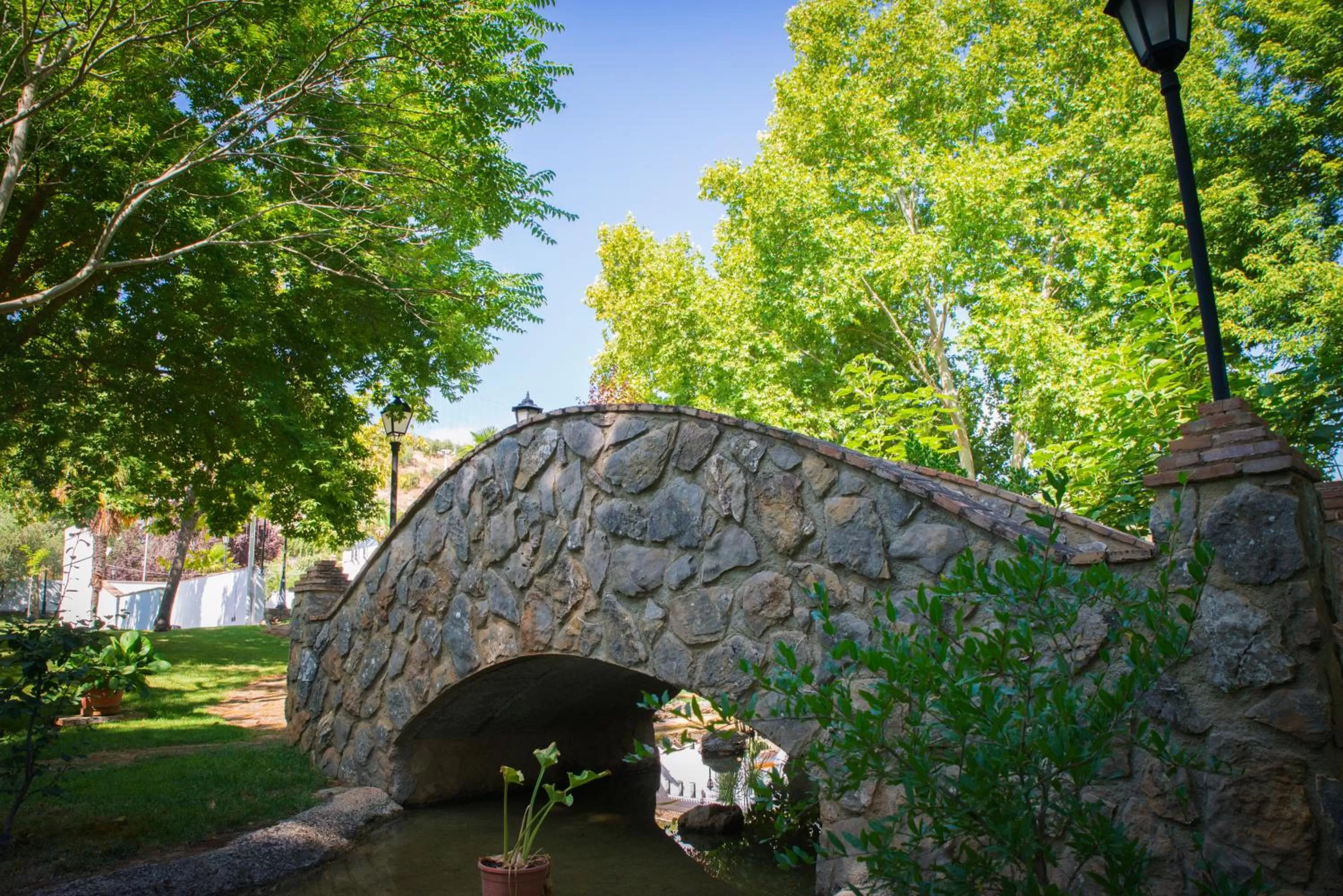 Patio in Huerta de las Palomas
