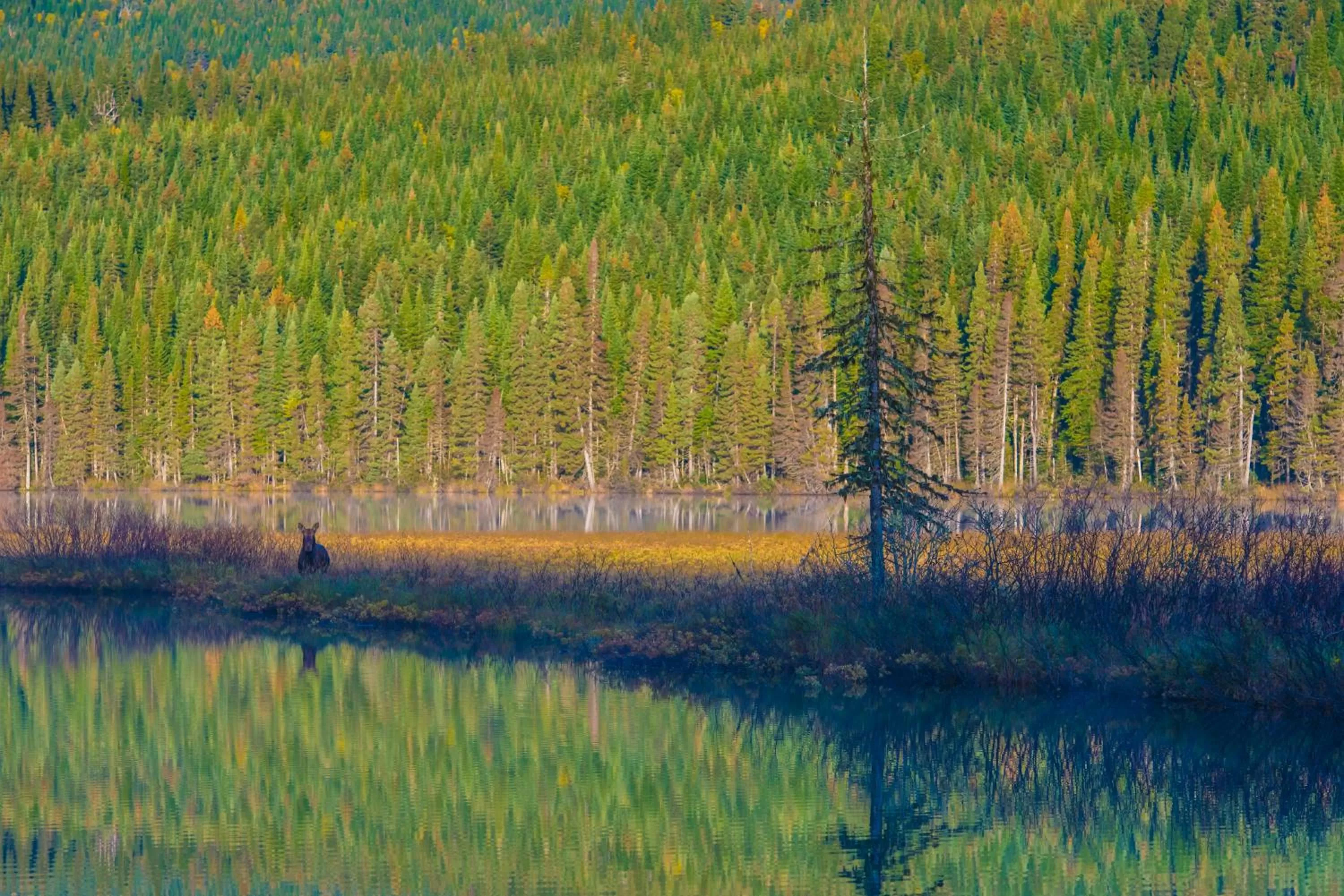 Autumn in Gîte du Mont-Albert - Sepaq