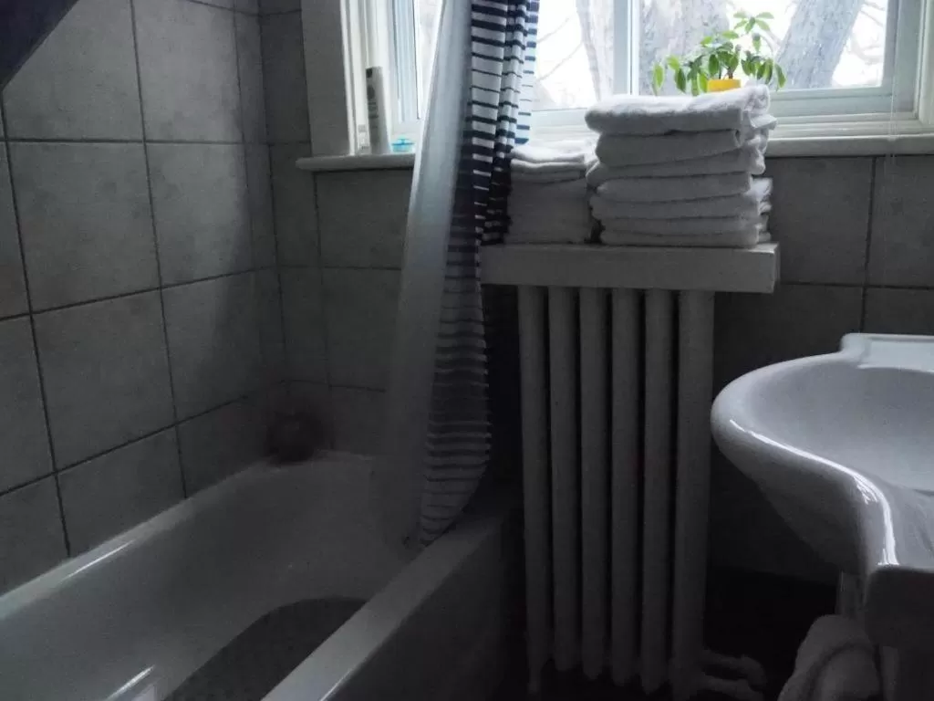 Bathroom in Downtown Bed and Breakfast