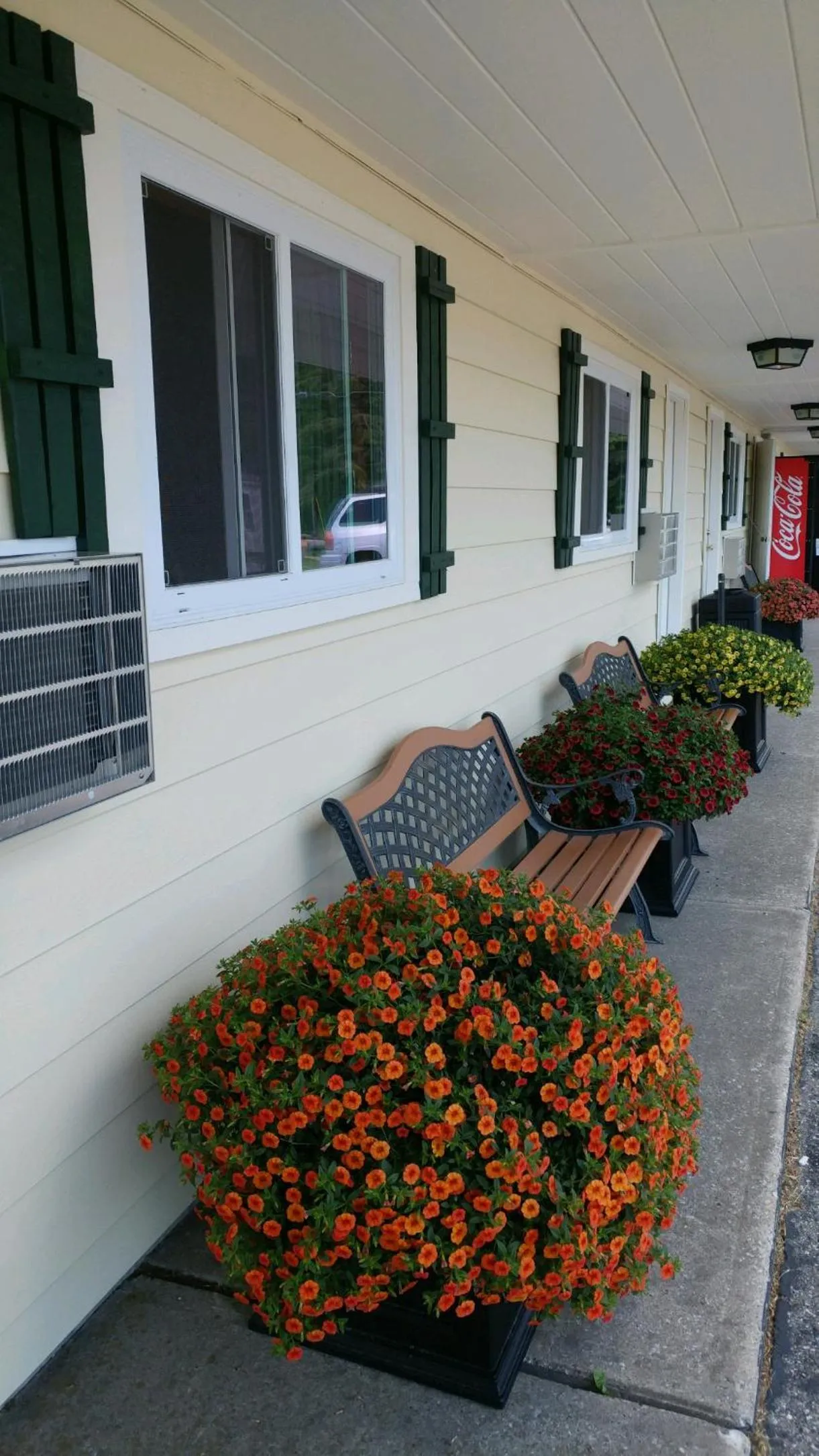 Sunset Motel at Armand's Gardens