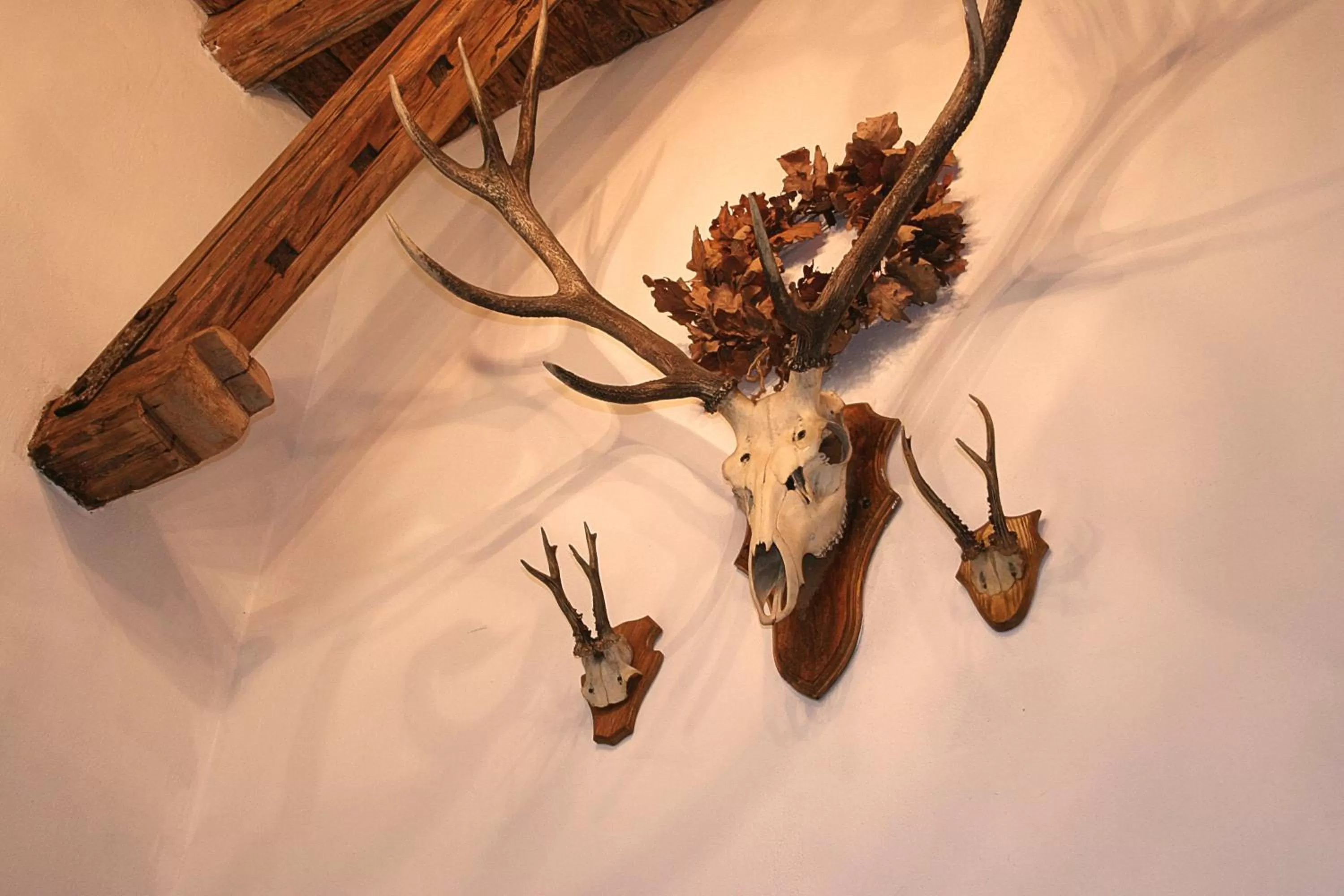 Decorative detail in Zajazd Karczma Zagłoba