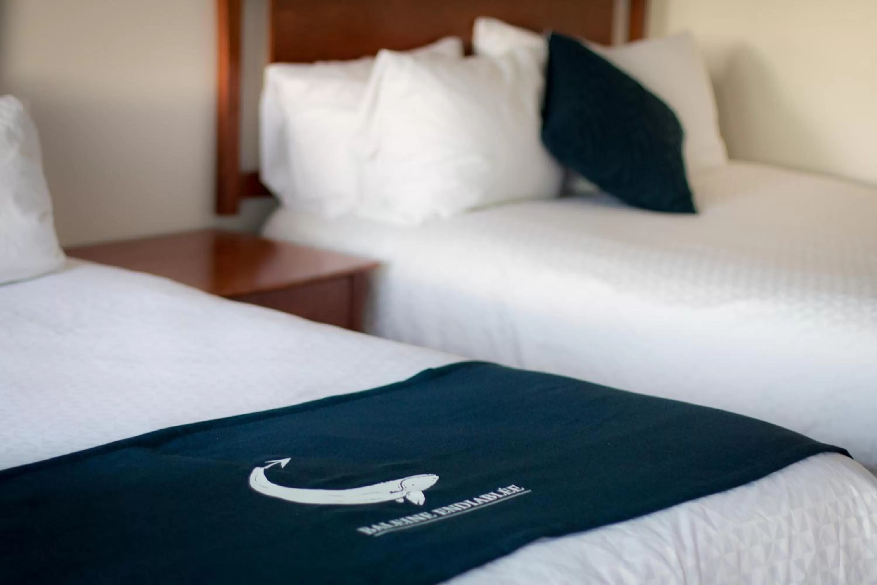 Bed in La Baleine Endiablée Microbrasserie