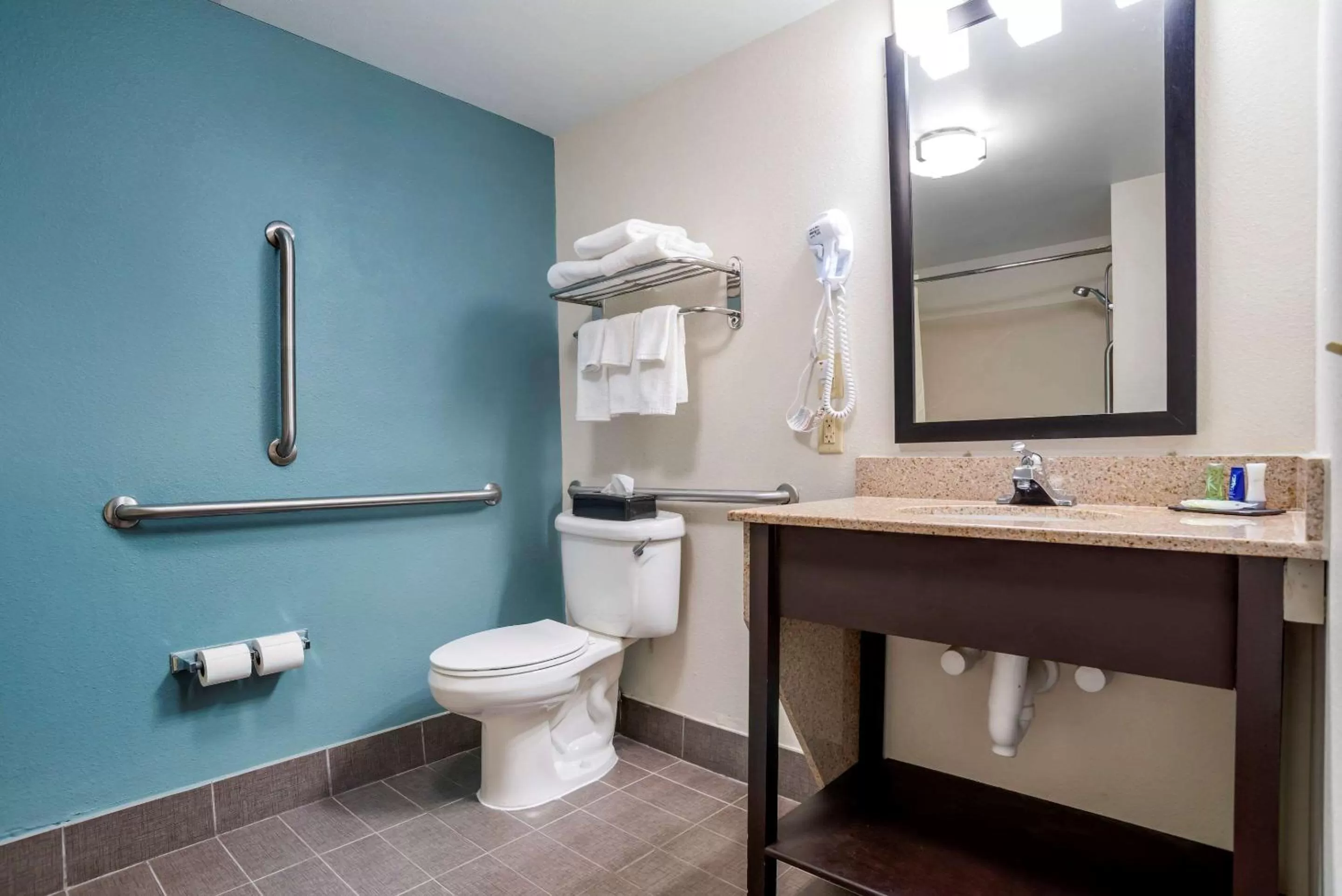 King Room with Roll-In Shower - Accessible/Non-Smoking in Sleep Inn & Suites Auburn Campus Area I-85