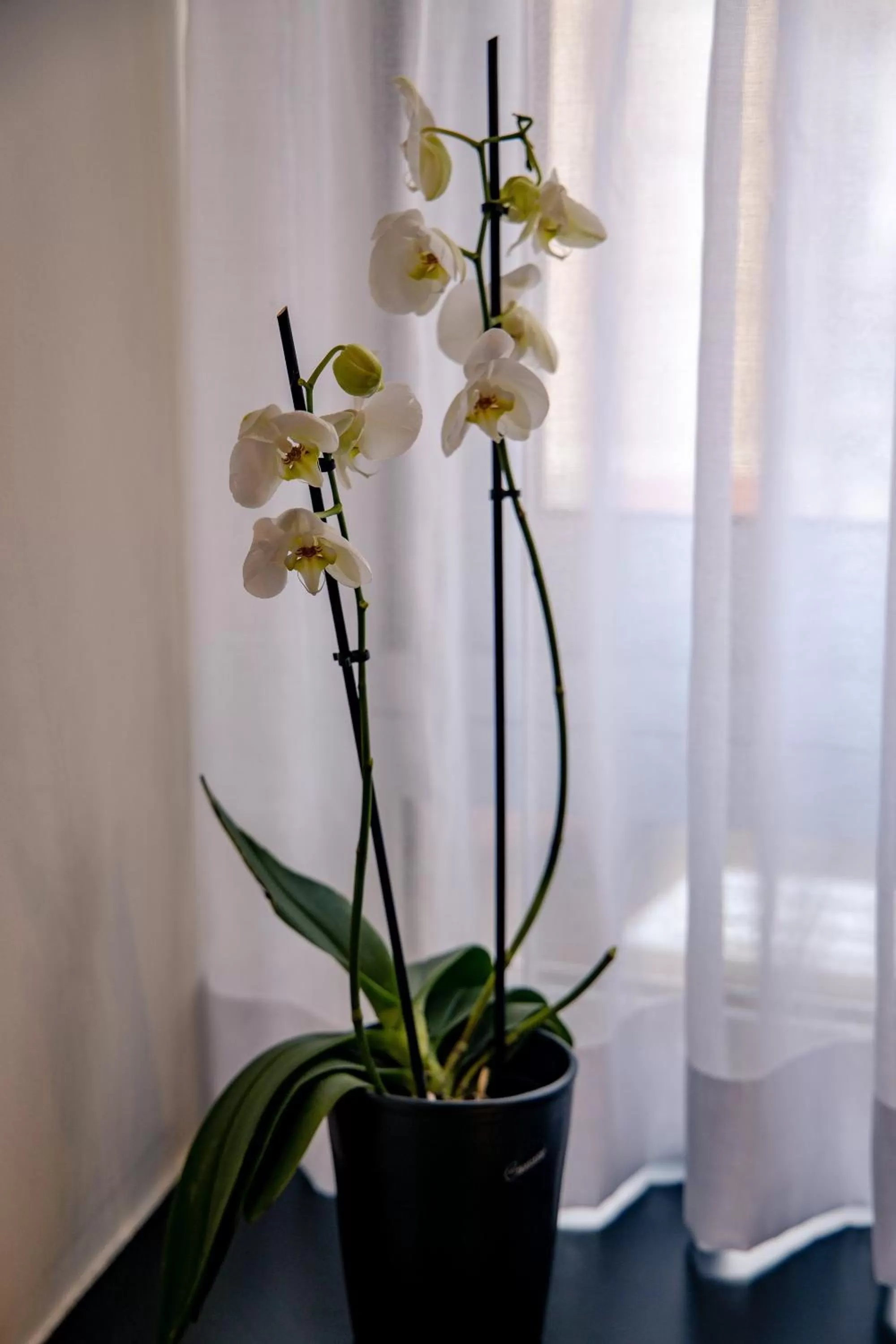 Decorative detail, Bathroom in Triple A - Apartments Accommodation in Prime Location (Between Monastiraki & Syntagma Square)
