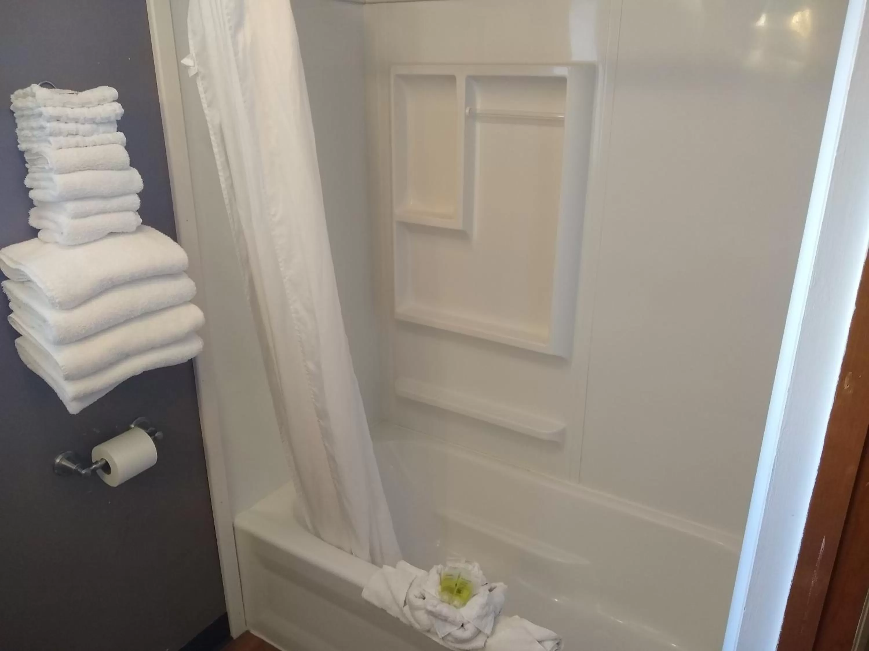 Bathroom in Townhouse Motel