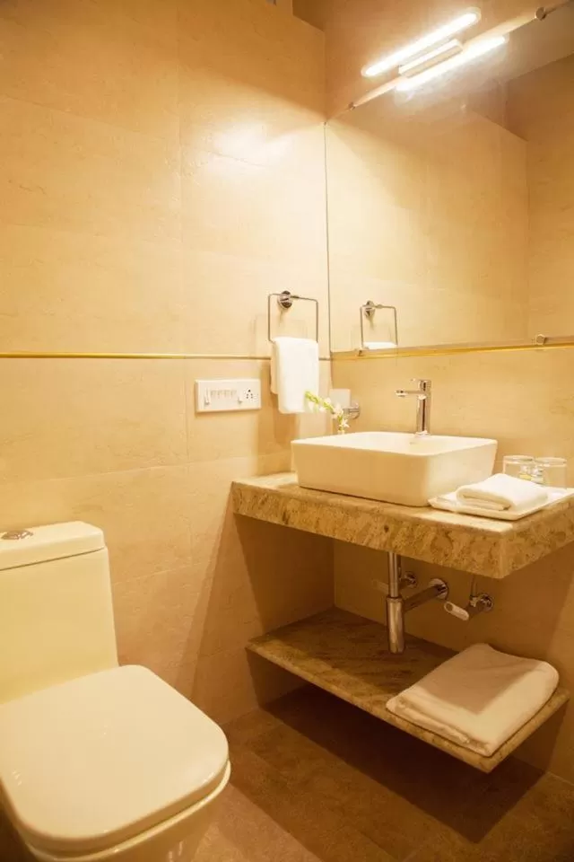 Toilet in The Ivy House