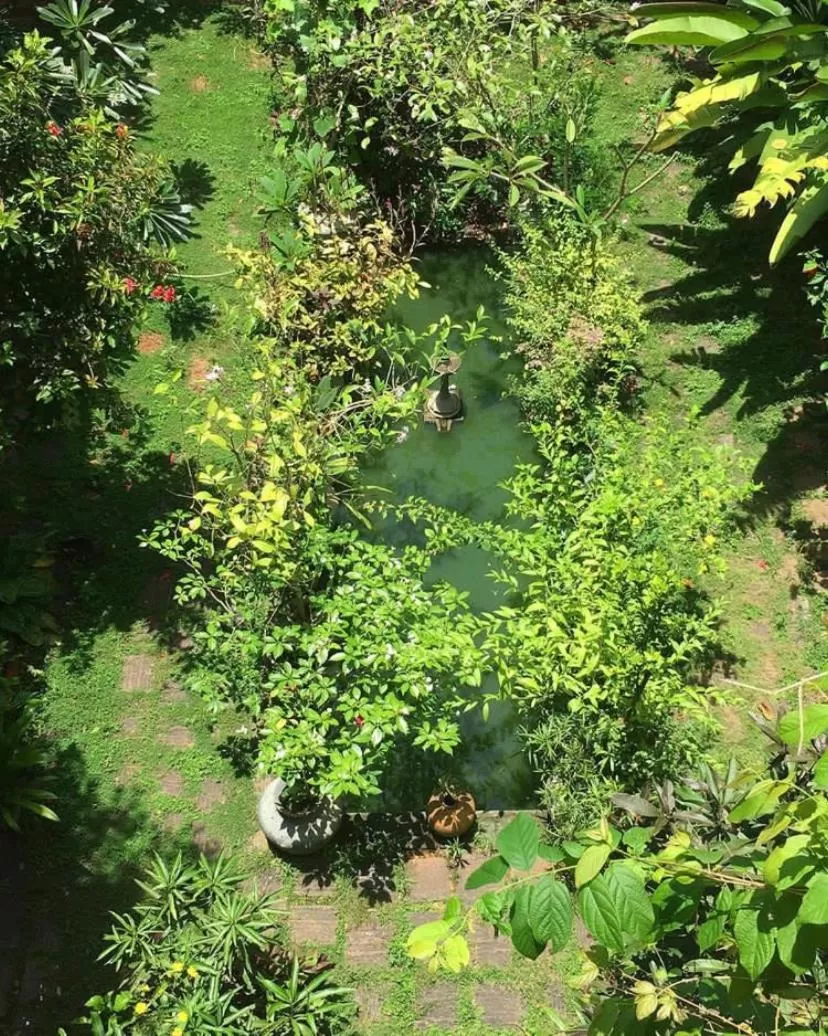 Garden in Villa Jacaranda