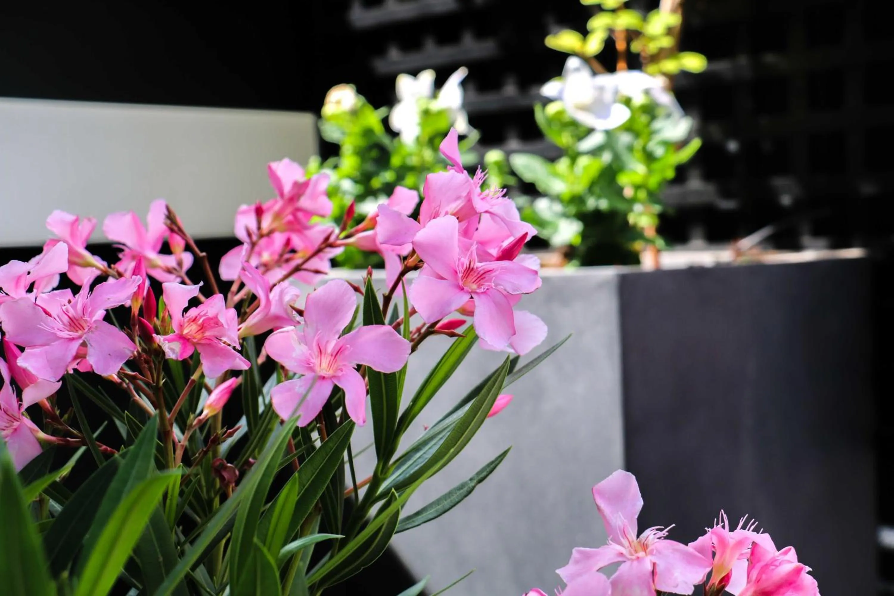 Garden view in Hôtel Vic Eiffel