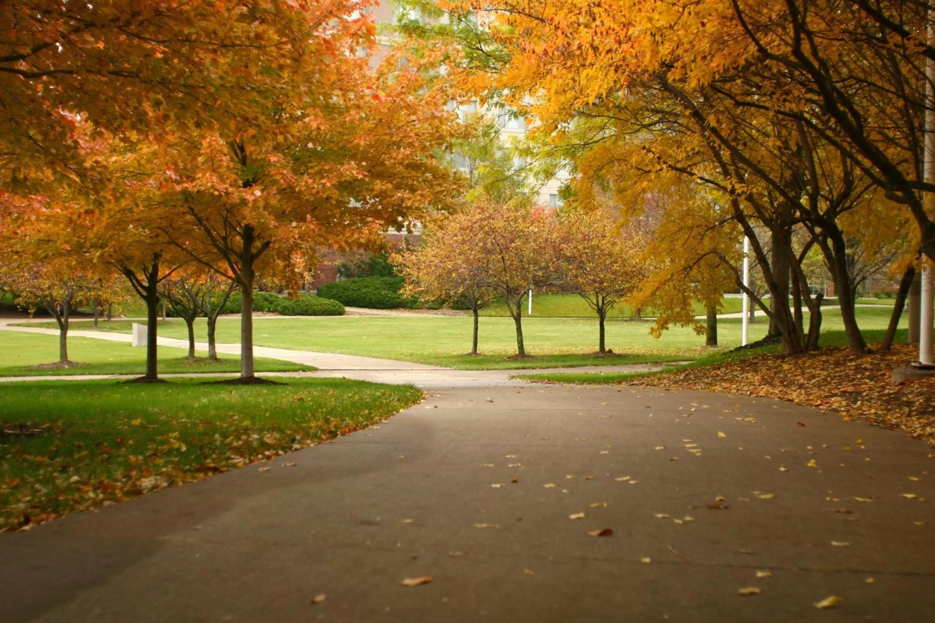 Natural landscape in Wyndham Moline on John Deere Commons