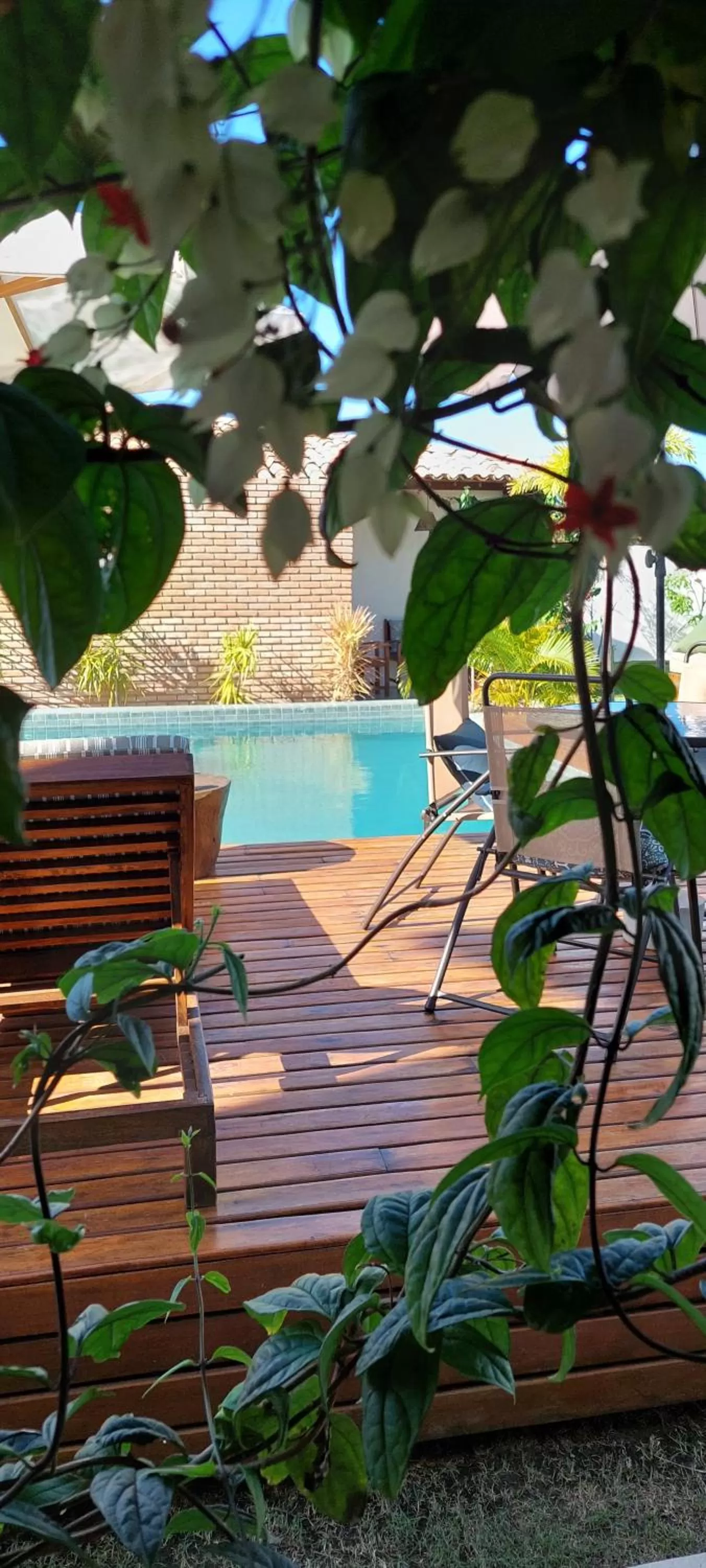 Pool view in Arataba Hotel Boutique e Bistrô - 150 mts do mar