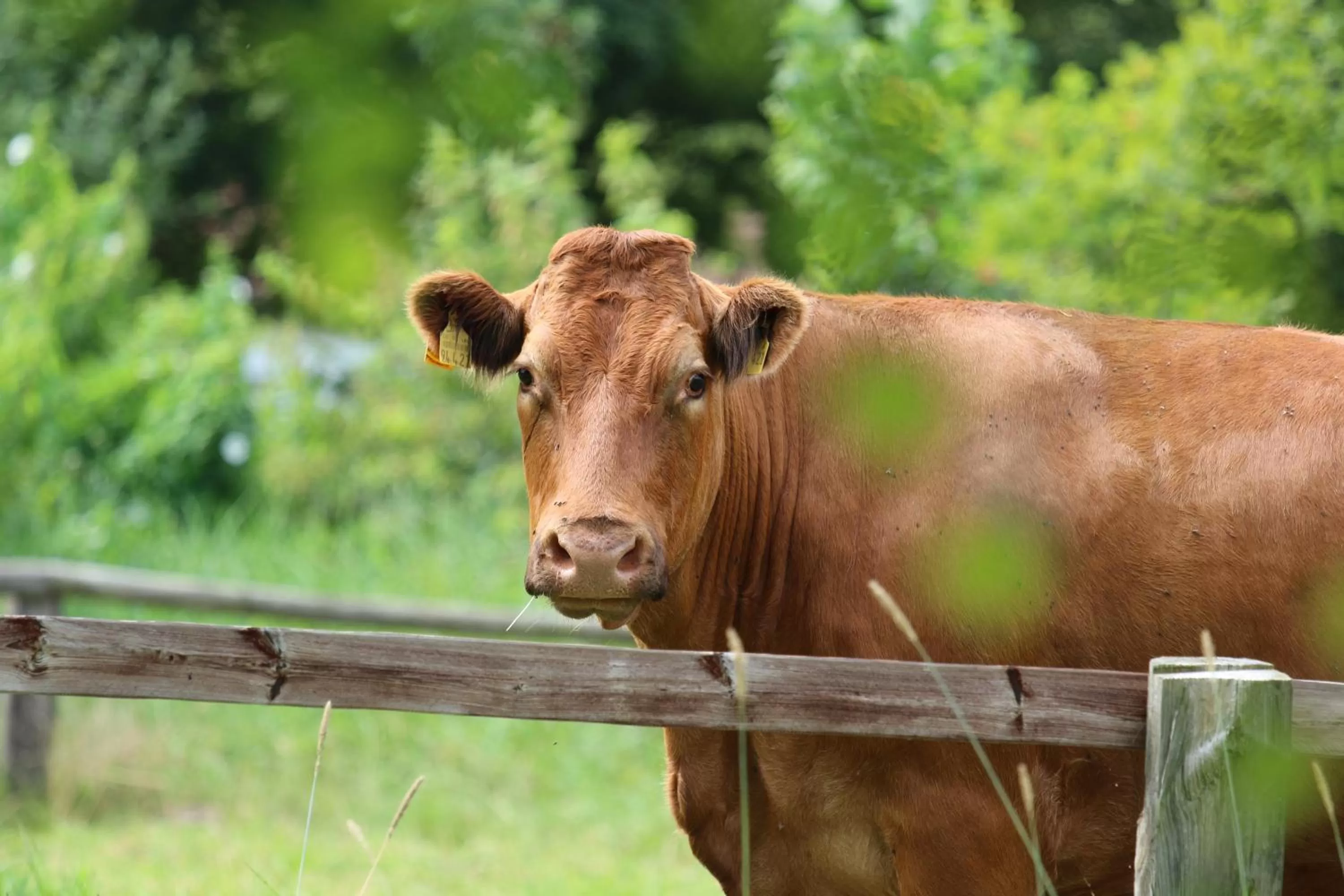 View (from property/room) in Buntes Moor