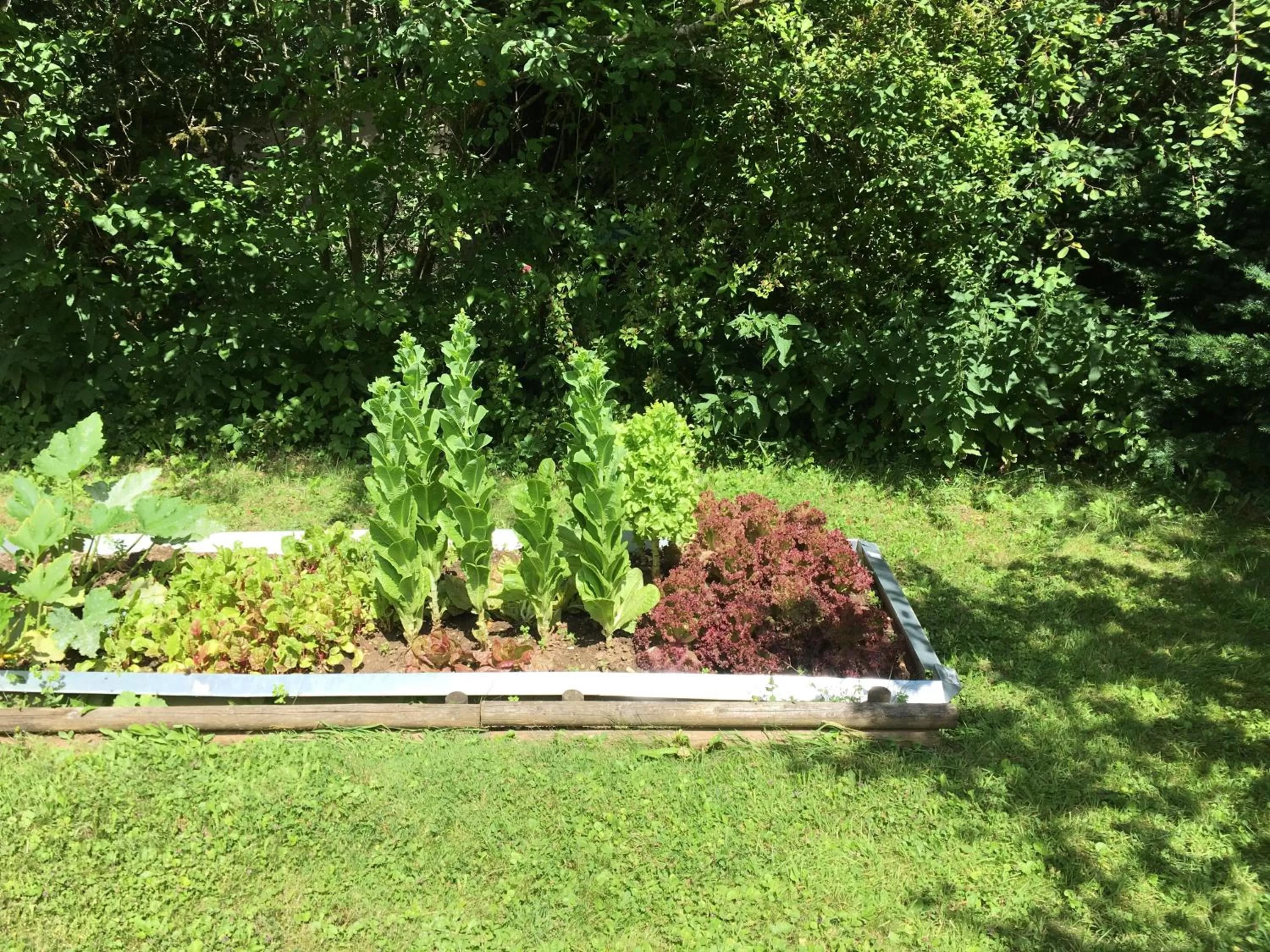 Garden in Nickhof B&B Resort