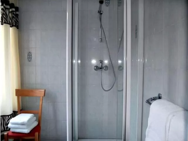 Twin Room - single occupancy in Hôtel Restaurant Le Moschenross