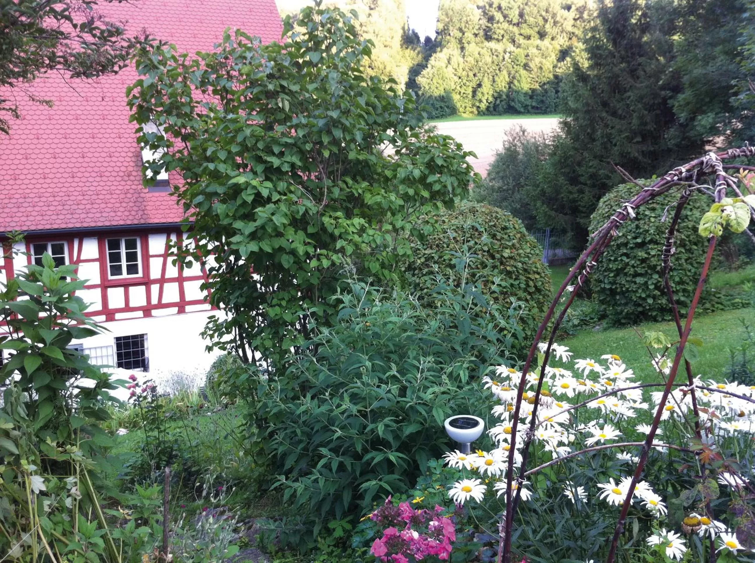 Garden in Nickhof B&B Resort