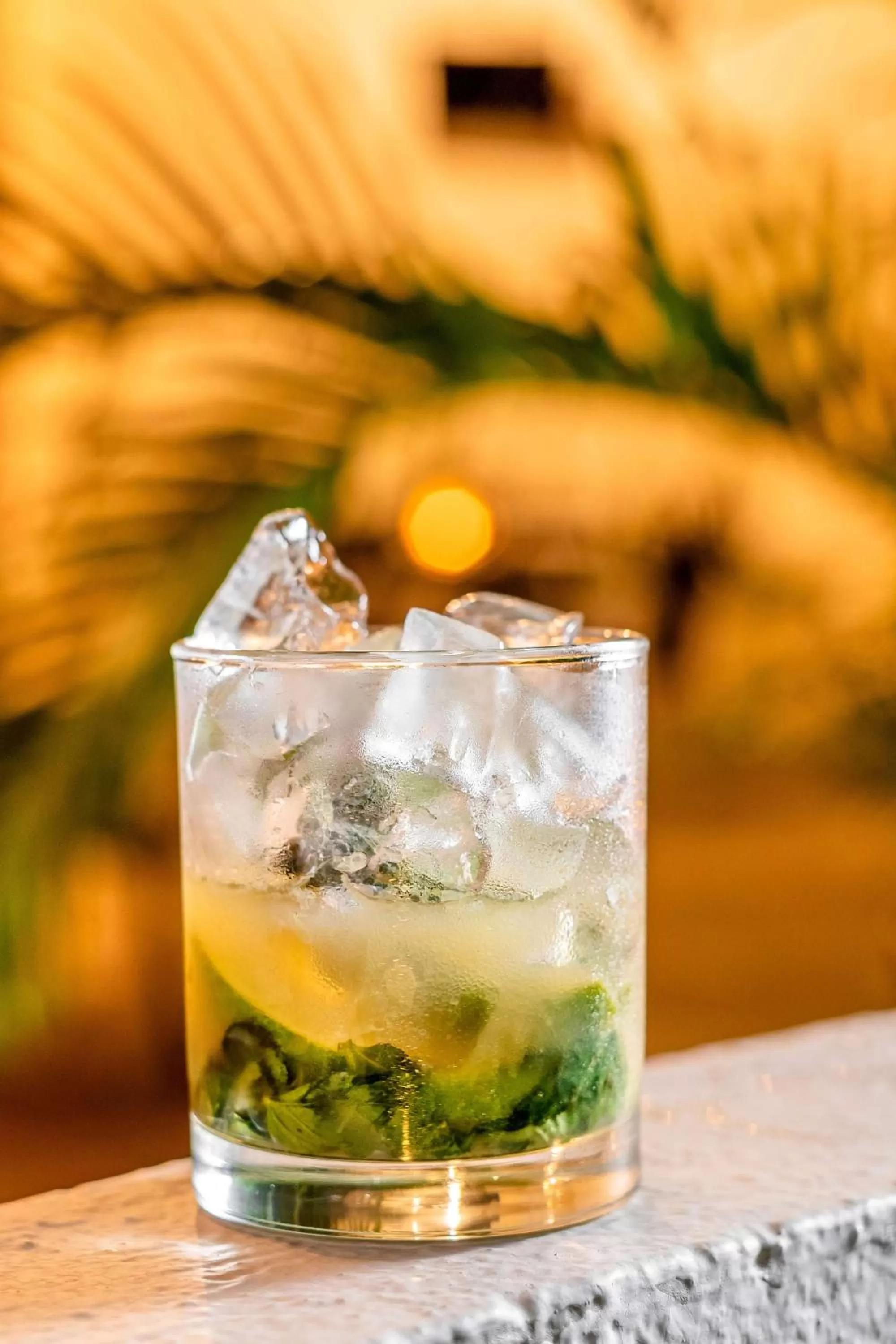 Lounge or bar in Hyatt Regency Villahermosa