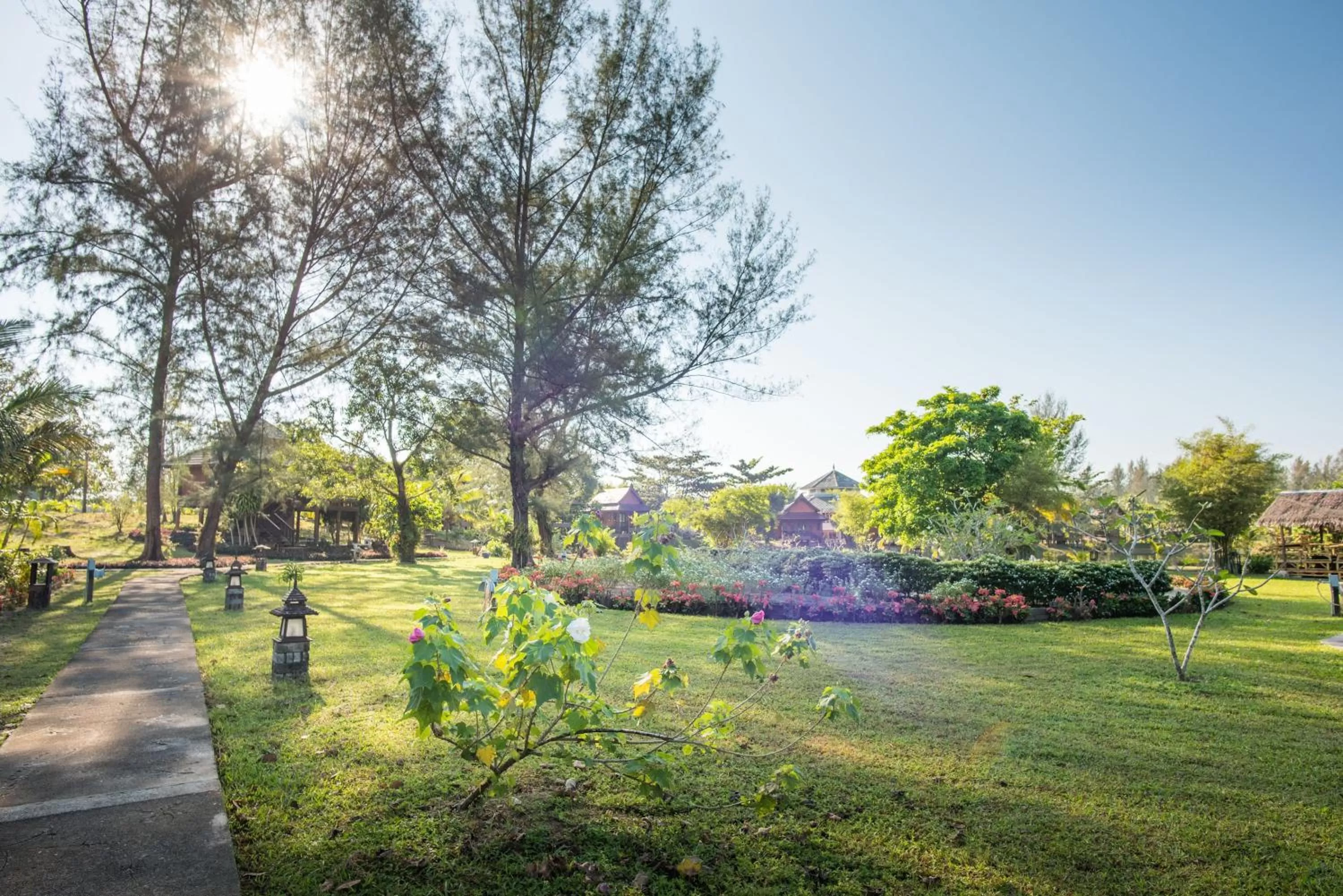 Natural landscape in ThaiLife Wellness & Meditation Resort- SHA Plus