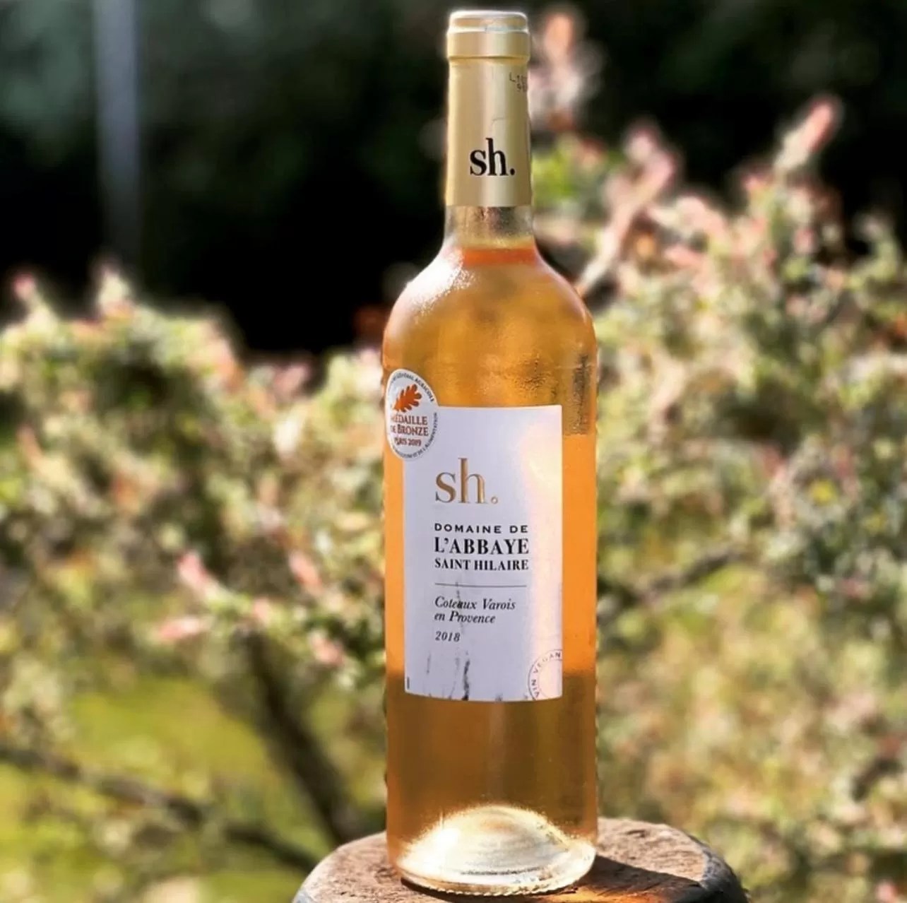 Garden in The Bell at Old Sodbury