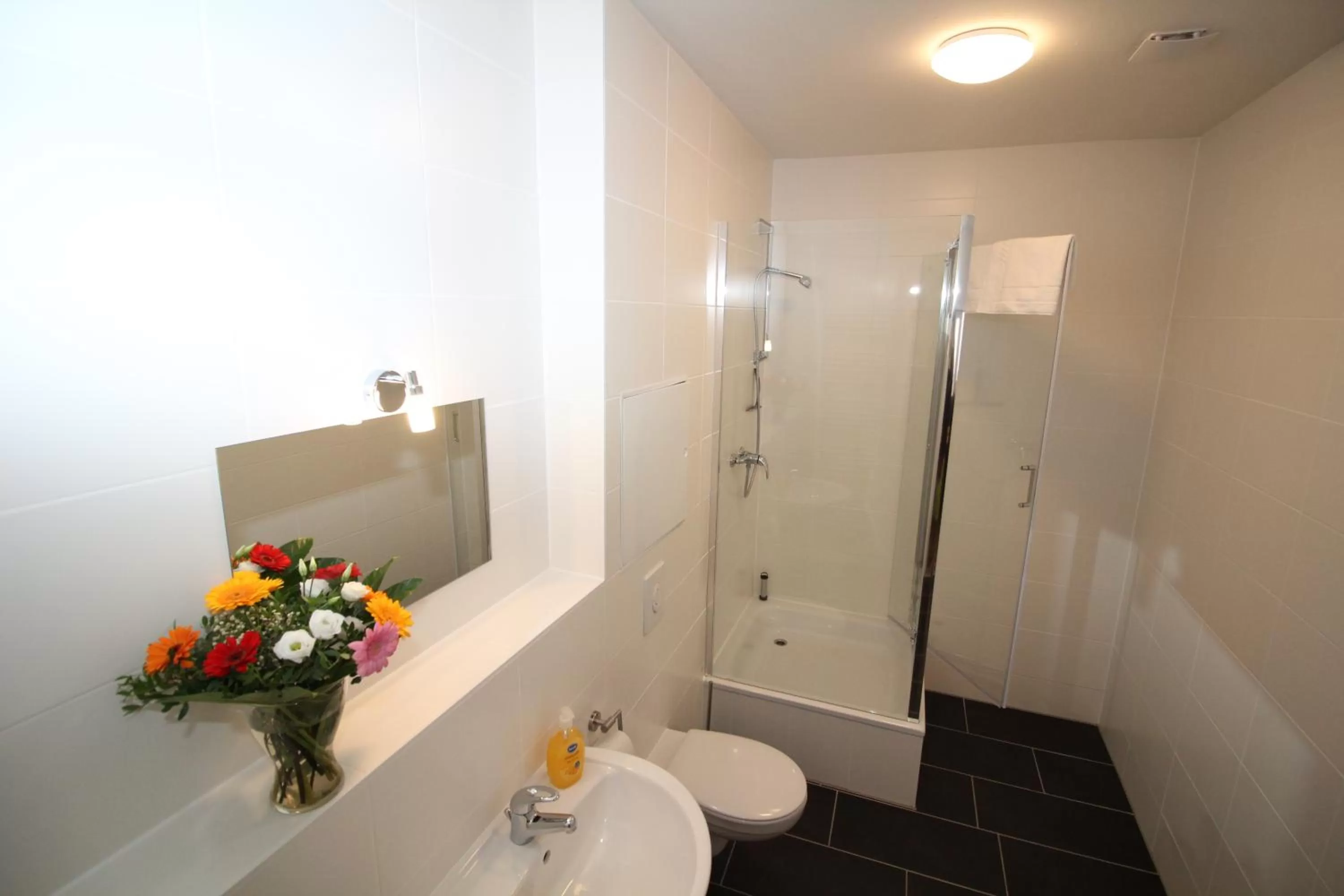 Bathroom in Apartments Tempelhof