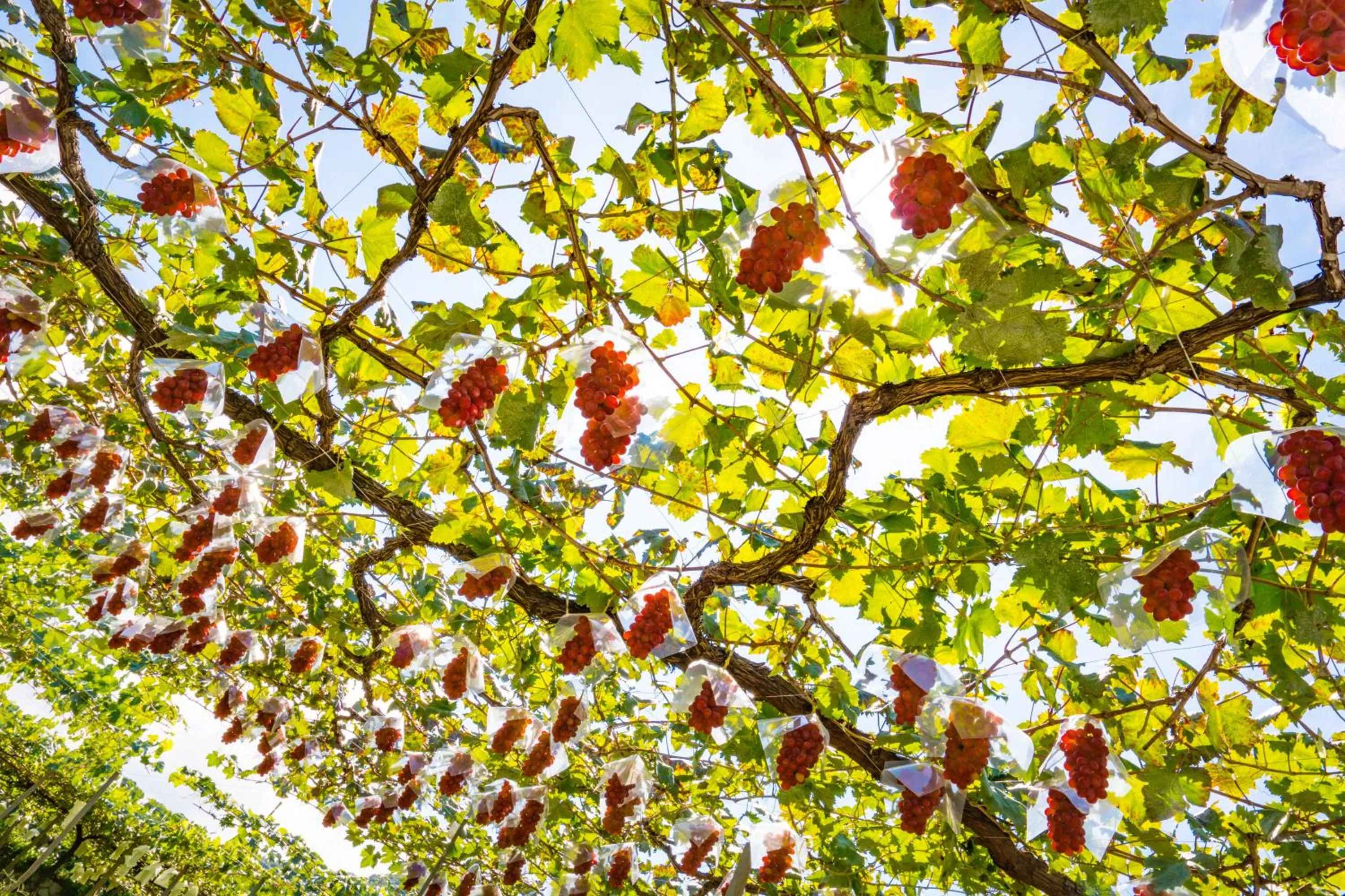 Nearby landmark in Senkeien Tsukioka Hotel
